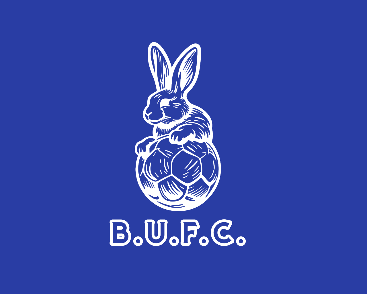 Barnstoneworth United FC