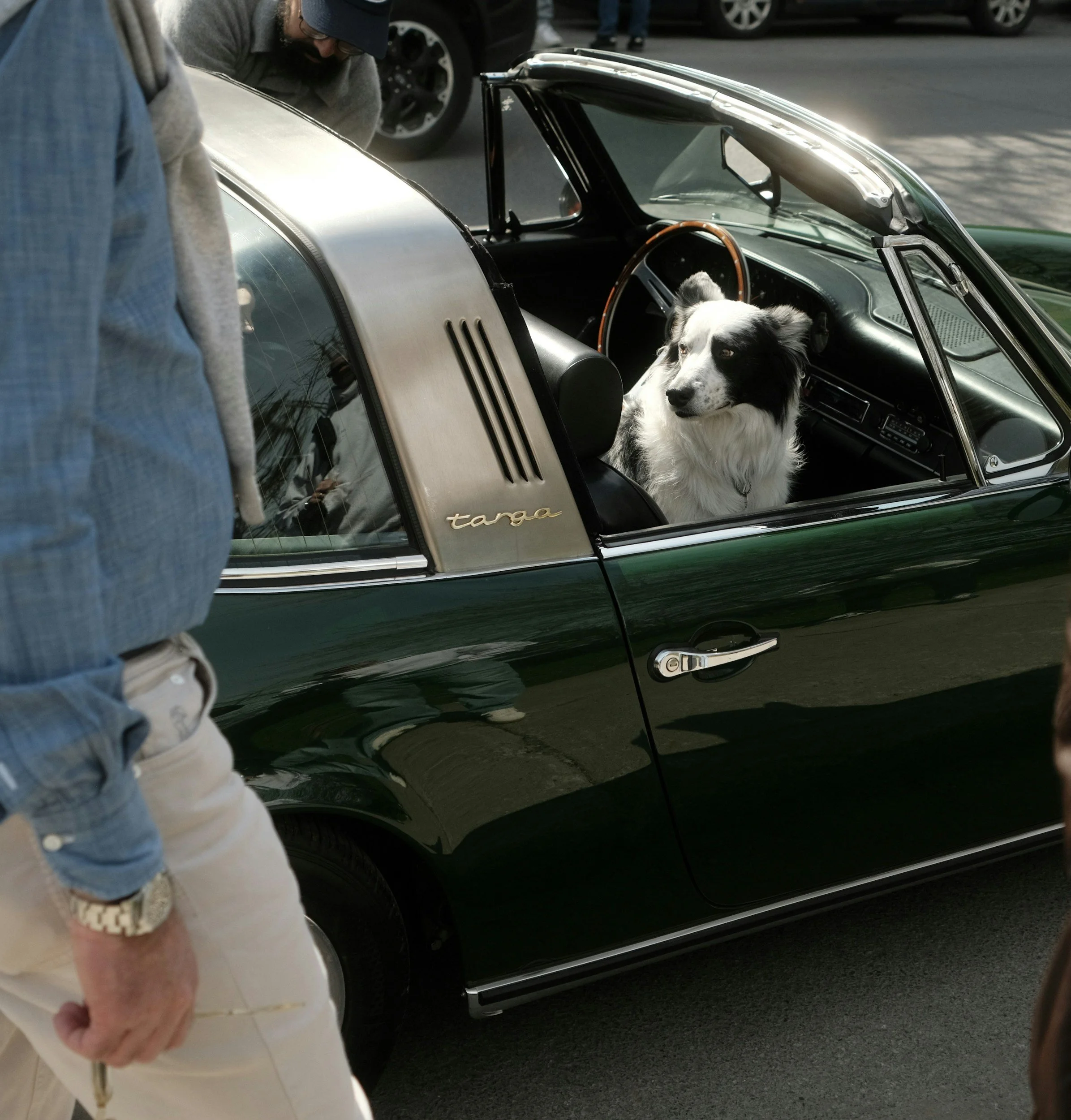 Close-up of a vintage green Porsche Targa with a dog sitting inside the car. The photo is taken outdoors during daytime, capturing part of a person's arm and torso on the left side.