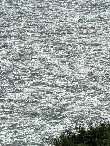 A body of water with sunlight reflecting off the surface, with trees at the bottom edge.