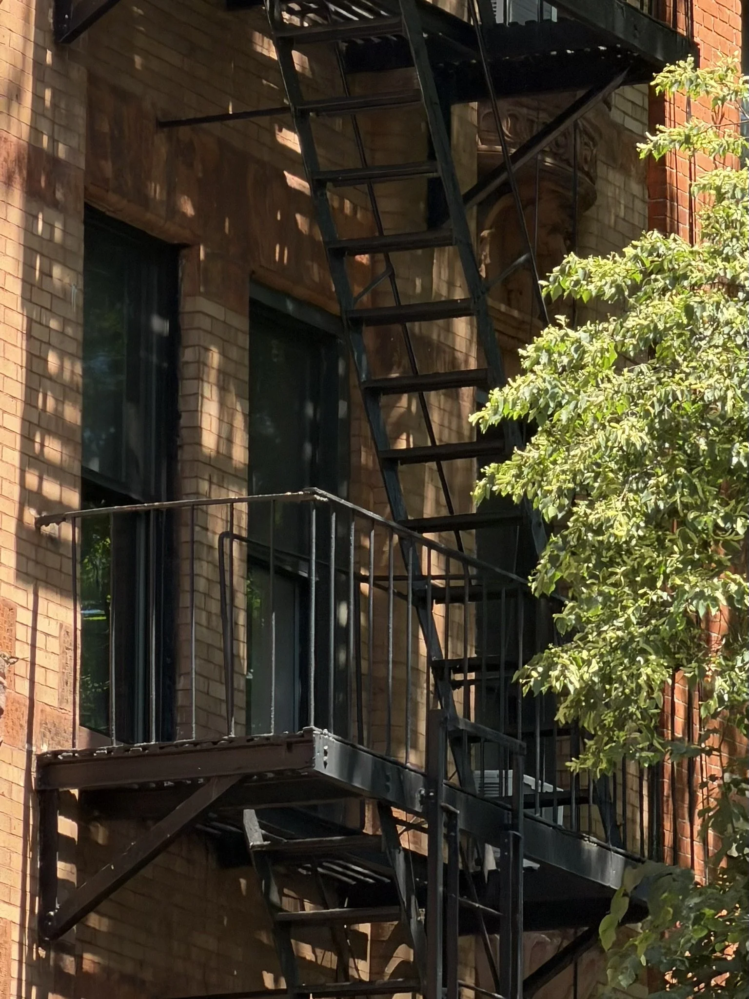 Black fire escape ladder on the brick exterior of a building next to green foliage.