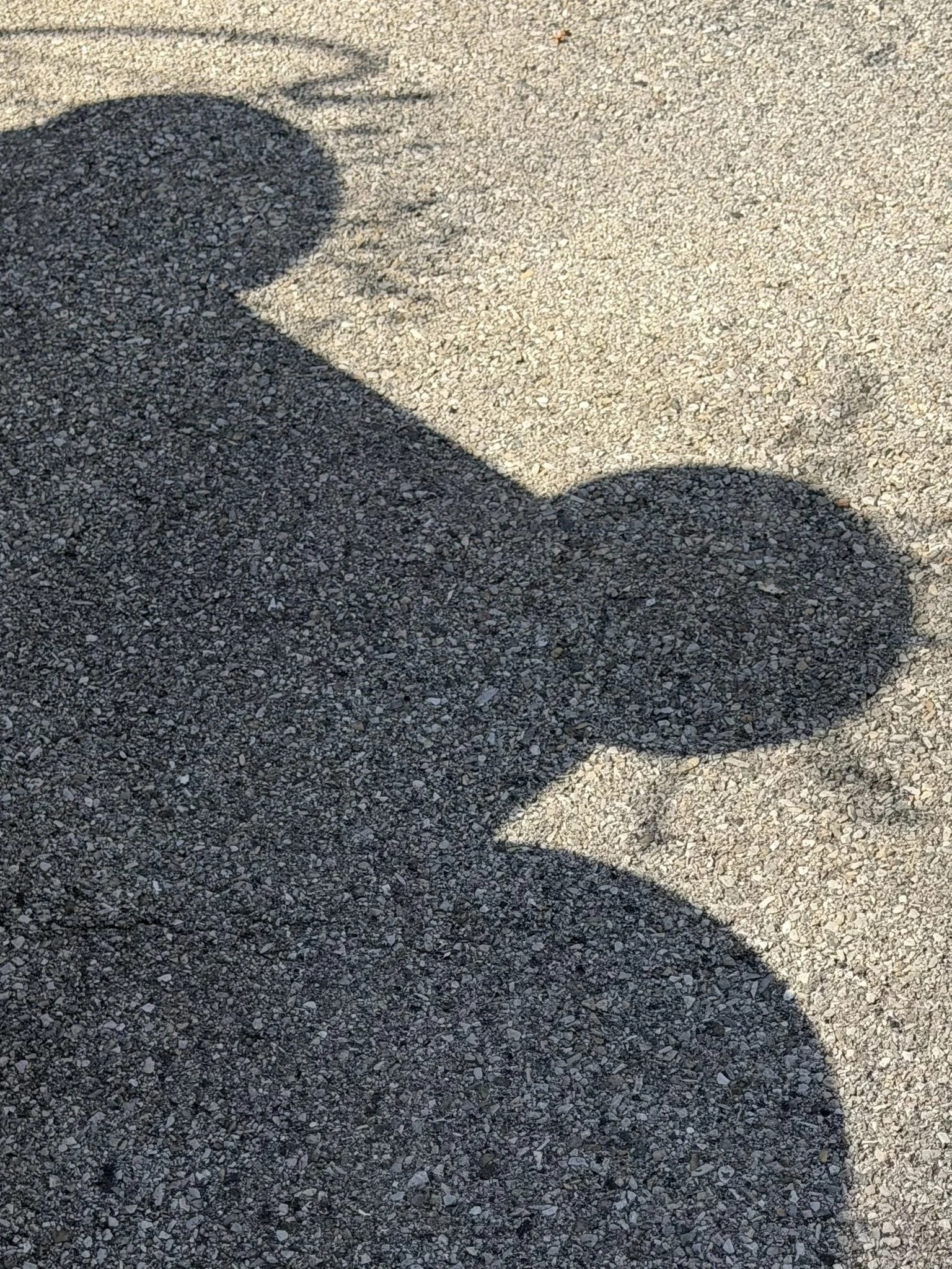 Shadows of a person and trees cast on a gravel surface