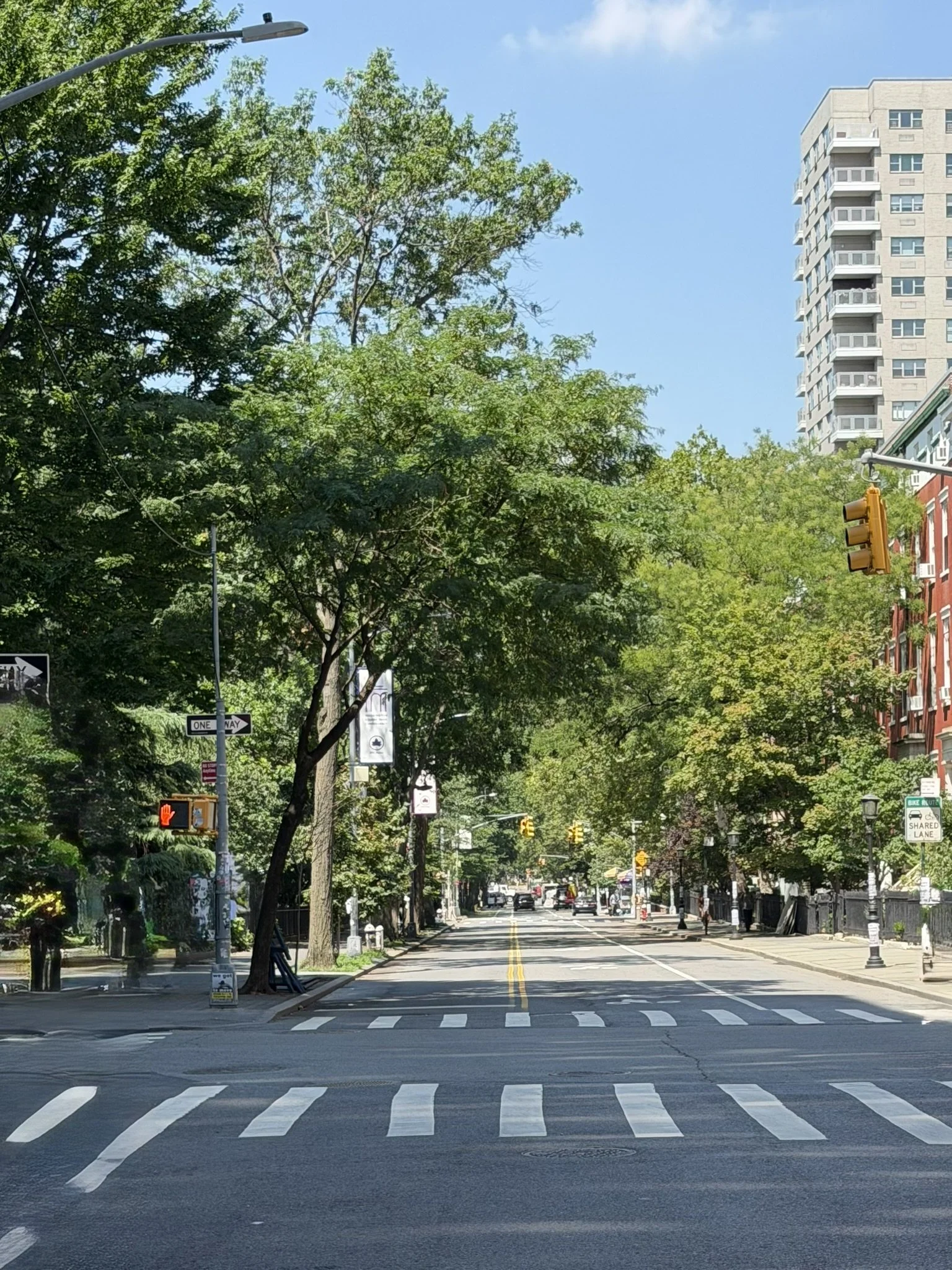 A city street with trees lining both sides, traffic lights, and a clear blue sky. There's a crosswalk in the foreground and a multilayered apartment building in the background.