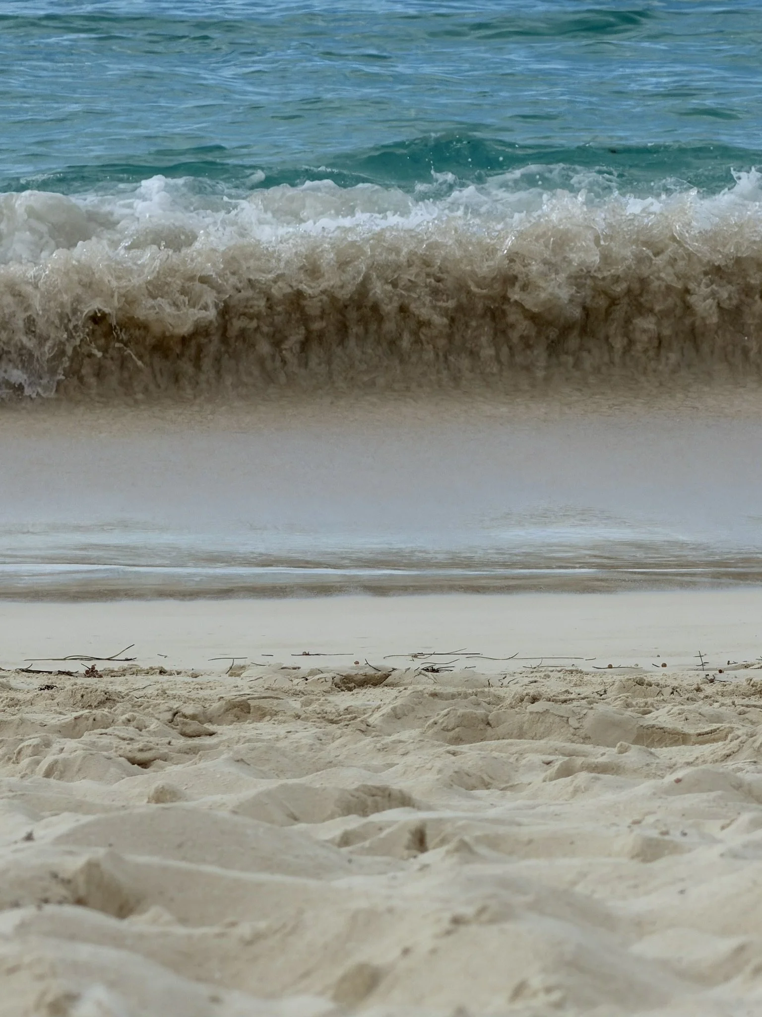 View of a sandy beach with gentle ocean waves coming onto the shore and small twigs scattered on the sand.