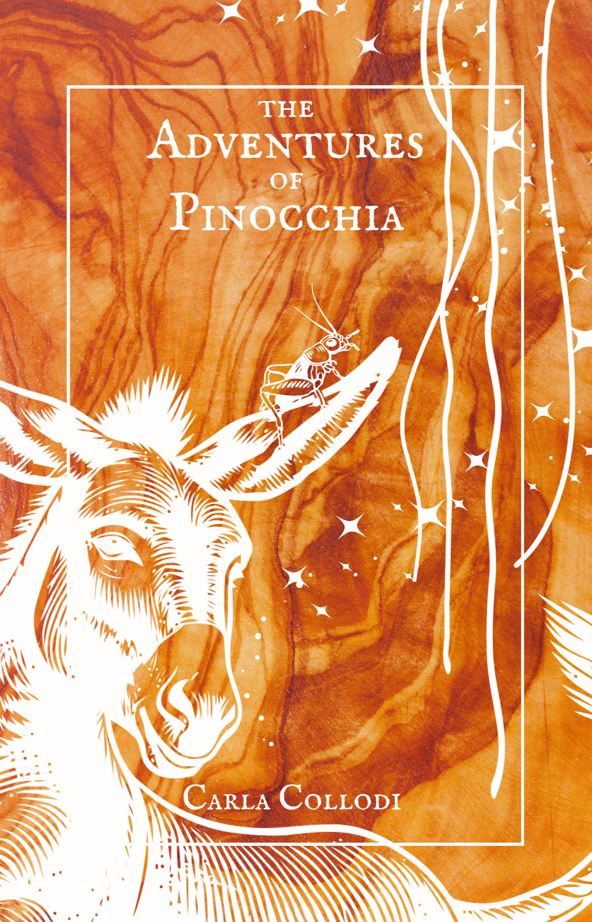The Adventures of Pinocchia