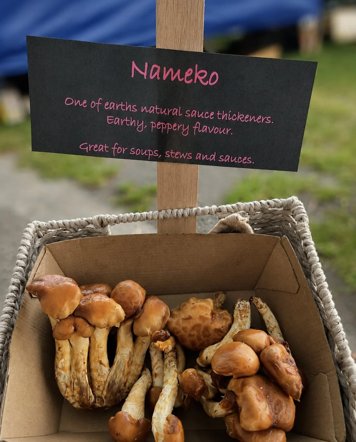 Nameko Mushroom