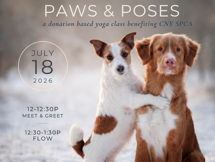 Paws & Poses: Yoga for a Cause