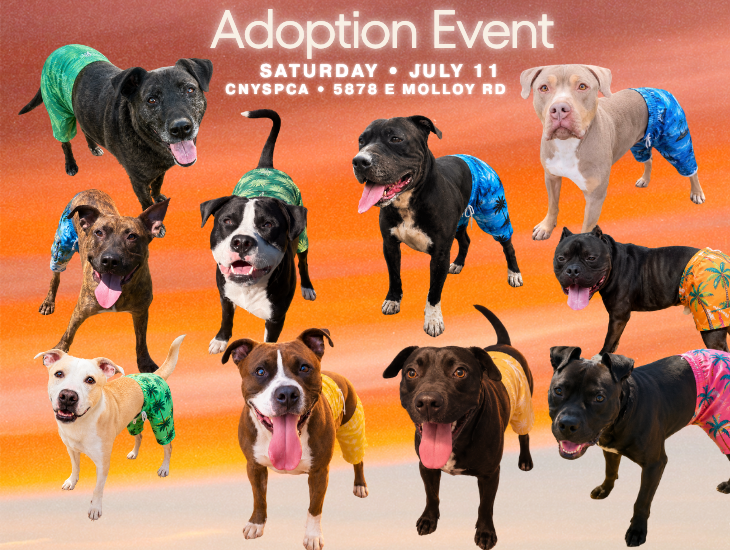 July Adoption Event