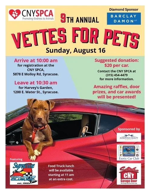 9th Annual Vettes For Pets
