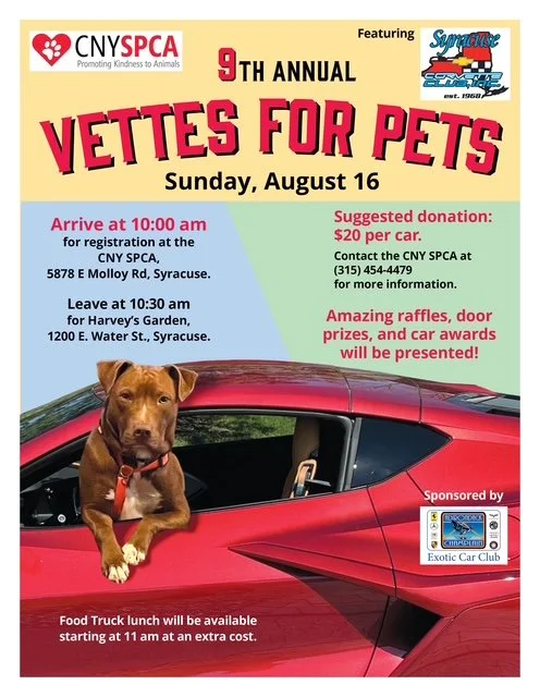 9th Annual Vettes For Pets