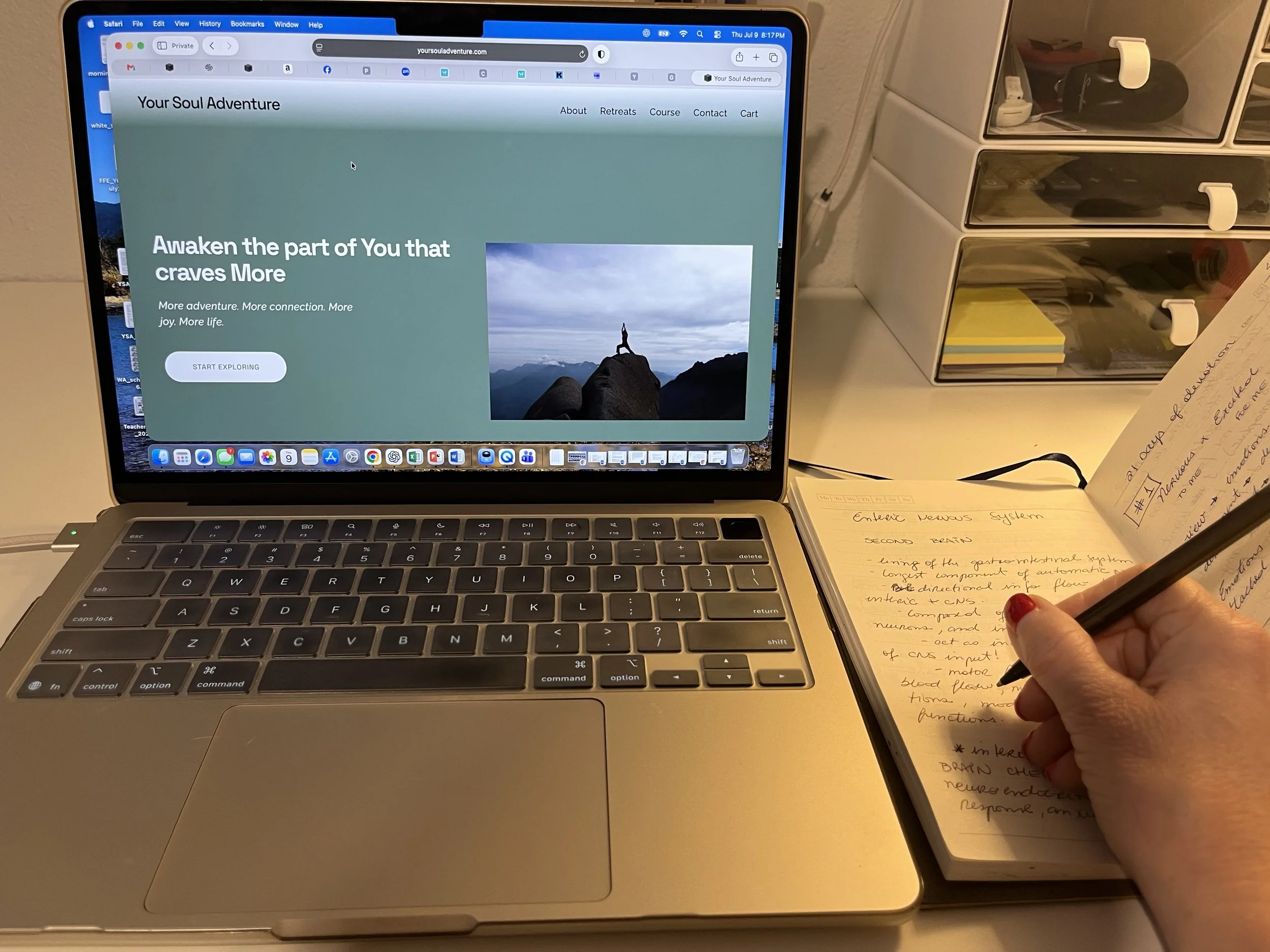 ONLINE PROGRAMS