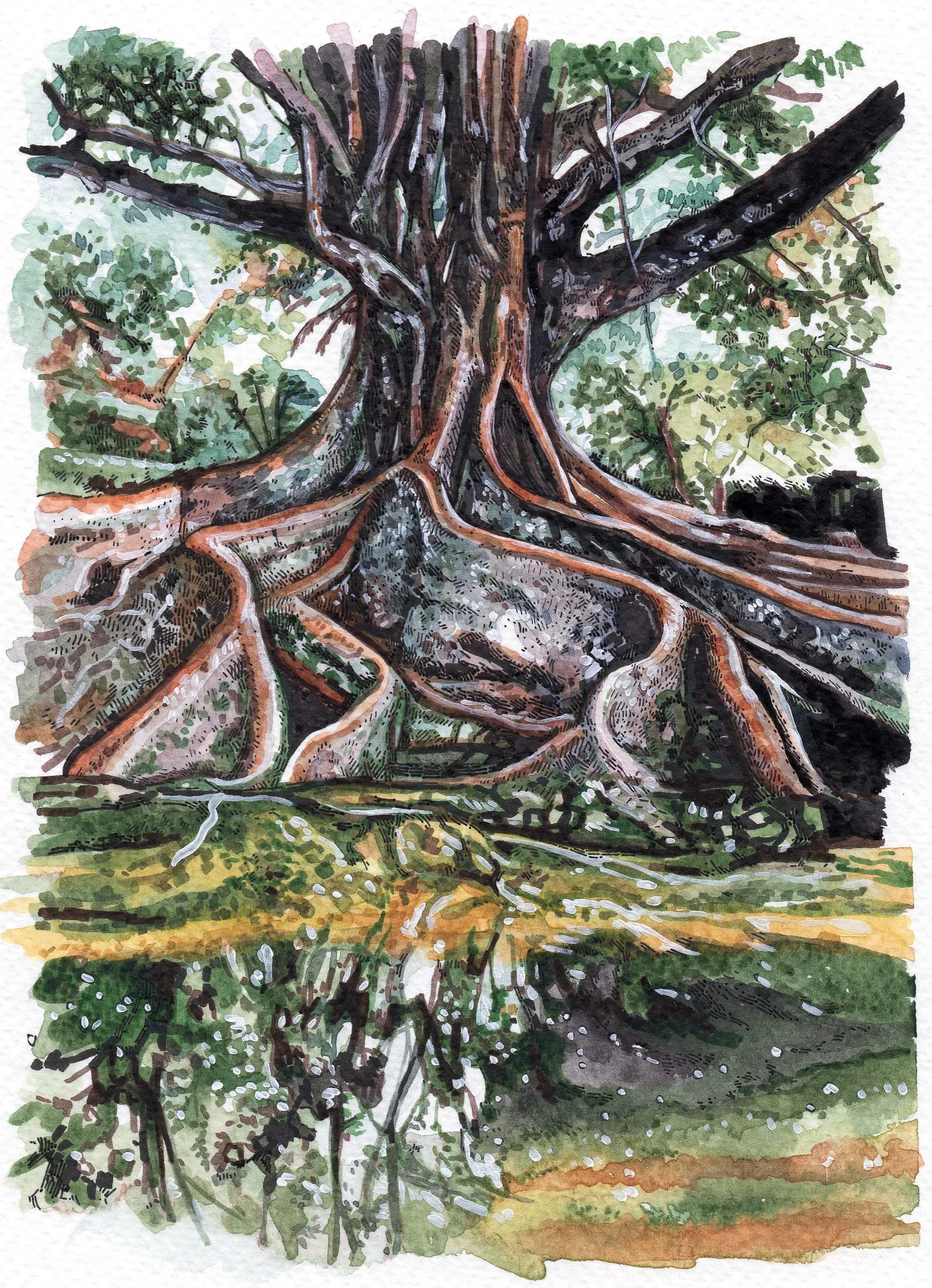 "All life fades" Watercolor and ink on paper, 18x13cm, 2022