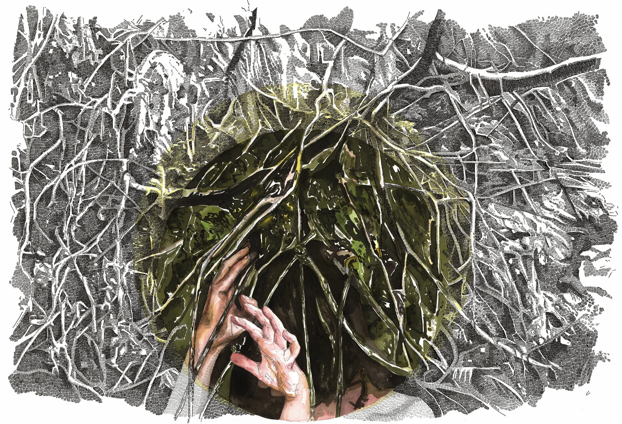 "Hidden" Watercolor and ink on paper, 50x70cm, 2015