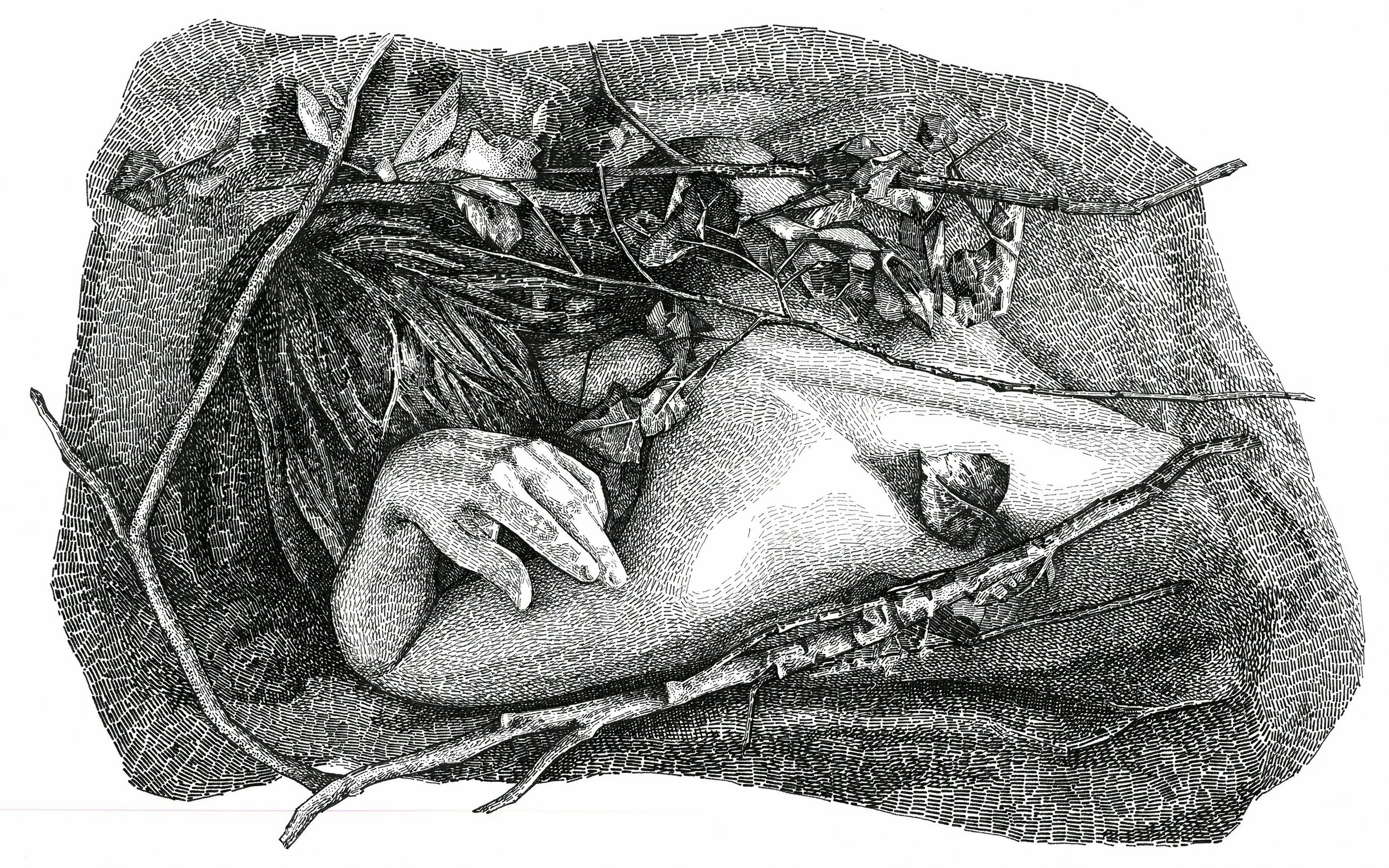"Hidden" Ink on paper, 31x41cm, 2016
