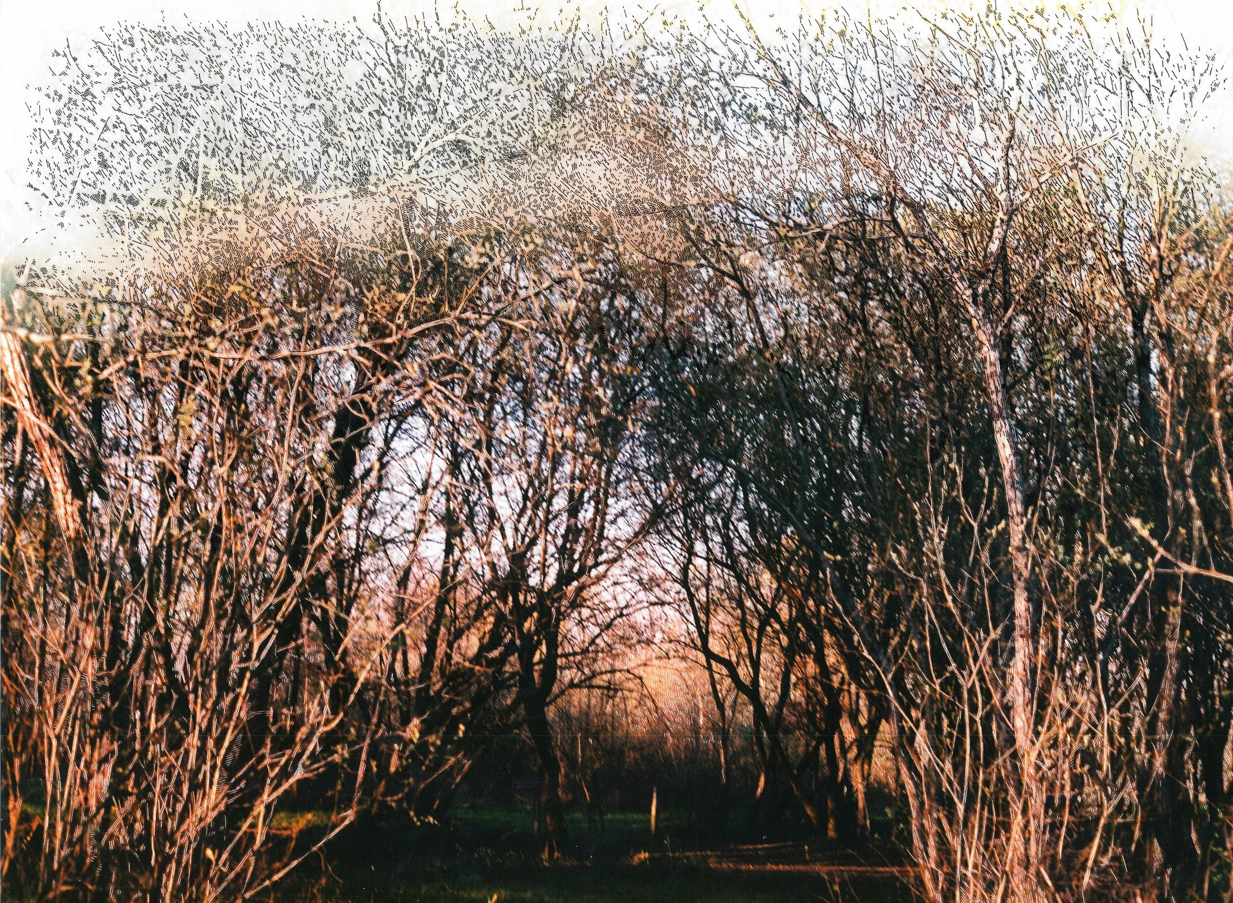 Drawing and scrape on photographic print (120mm), 30x40cm, 2015