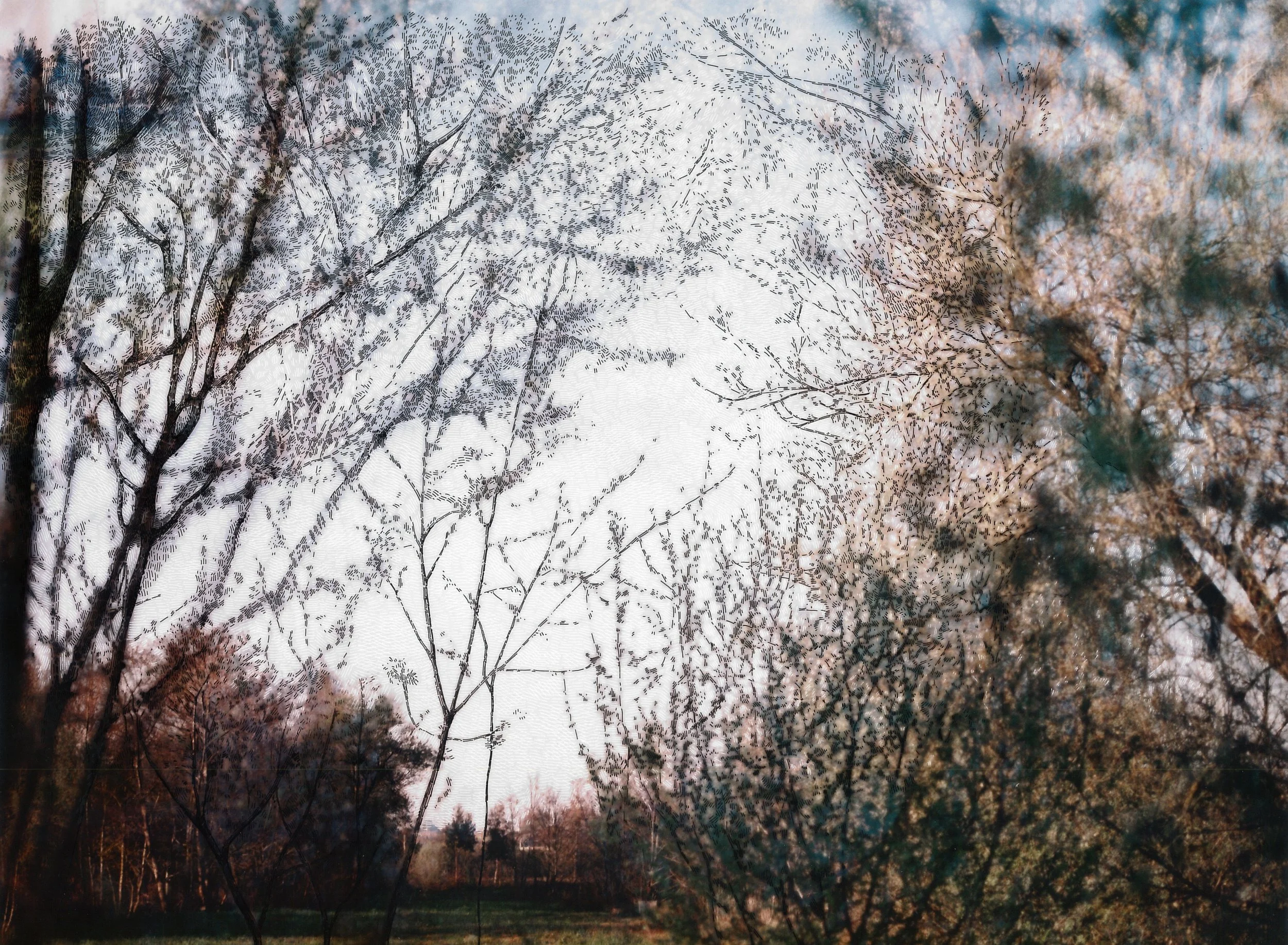 Drawing and scrape on photographic print (120mm), 30x40cm, 2015