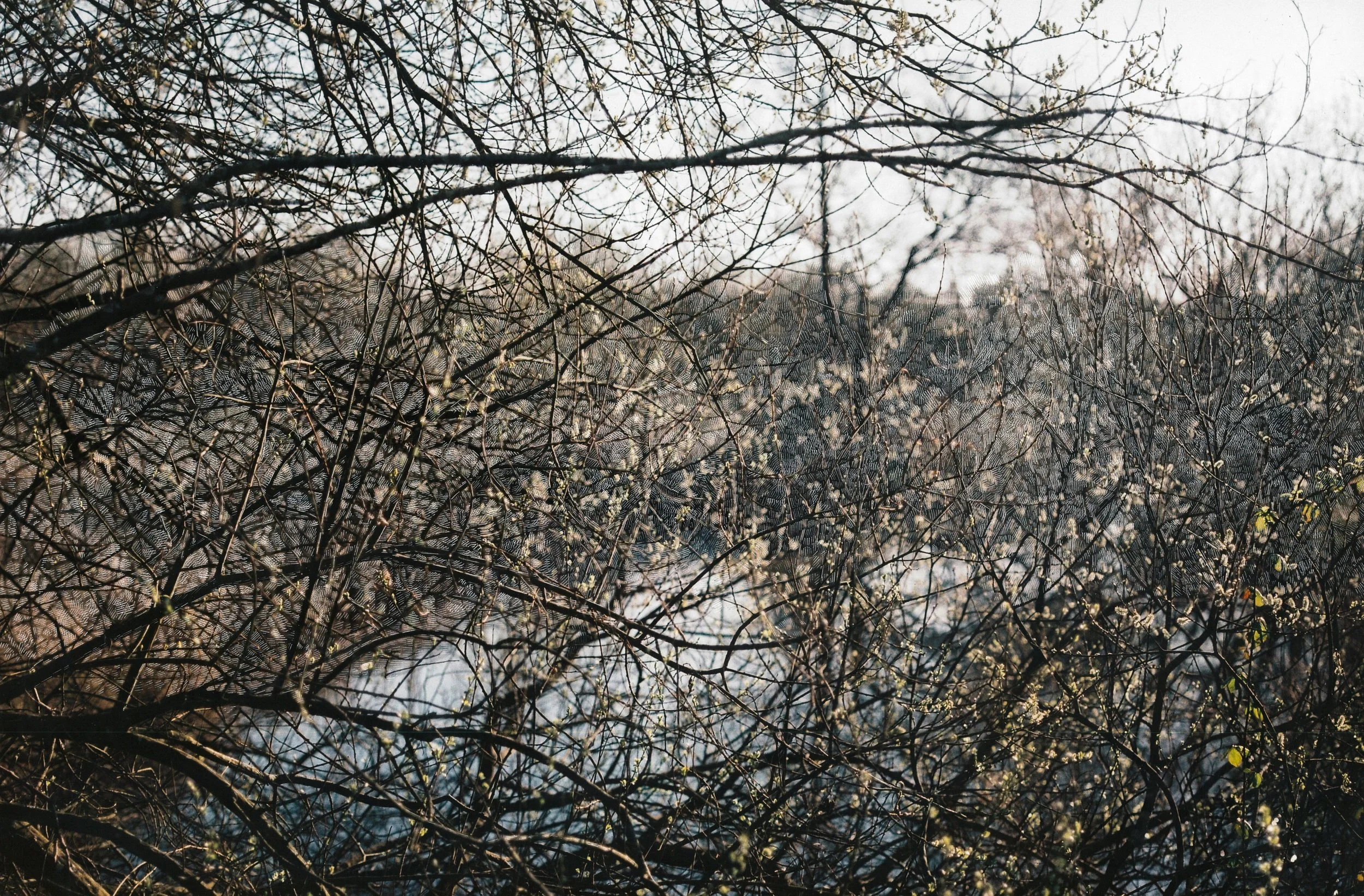 Scrape on photographic print (120mm), 30x40cm, 2015