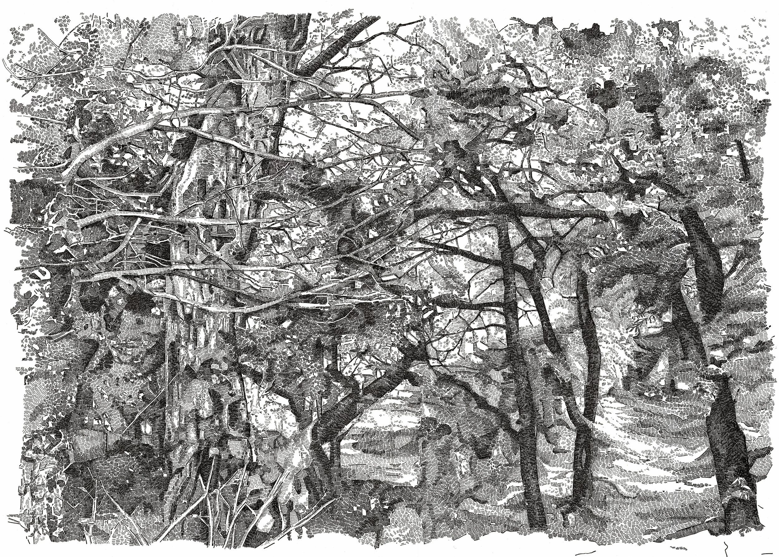 "Two views" Ink on paper, 50x70cm, 2015