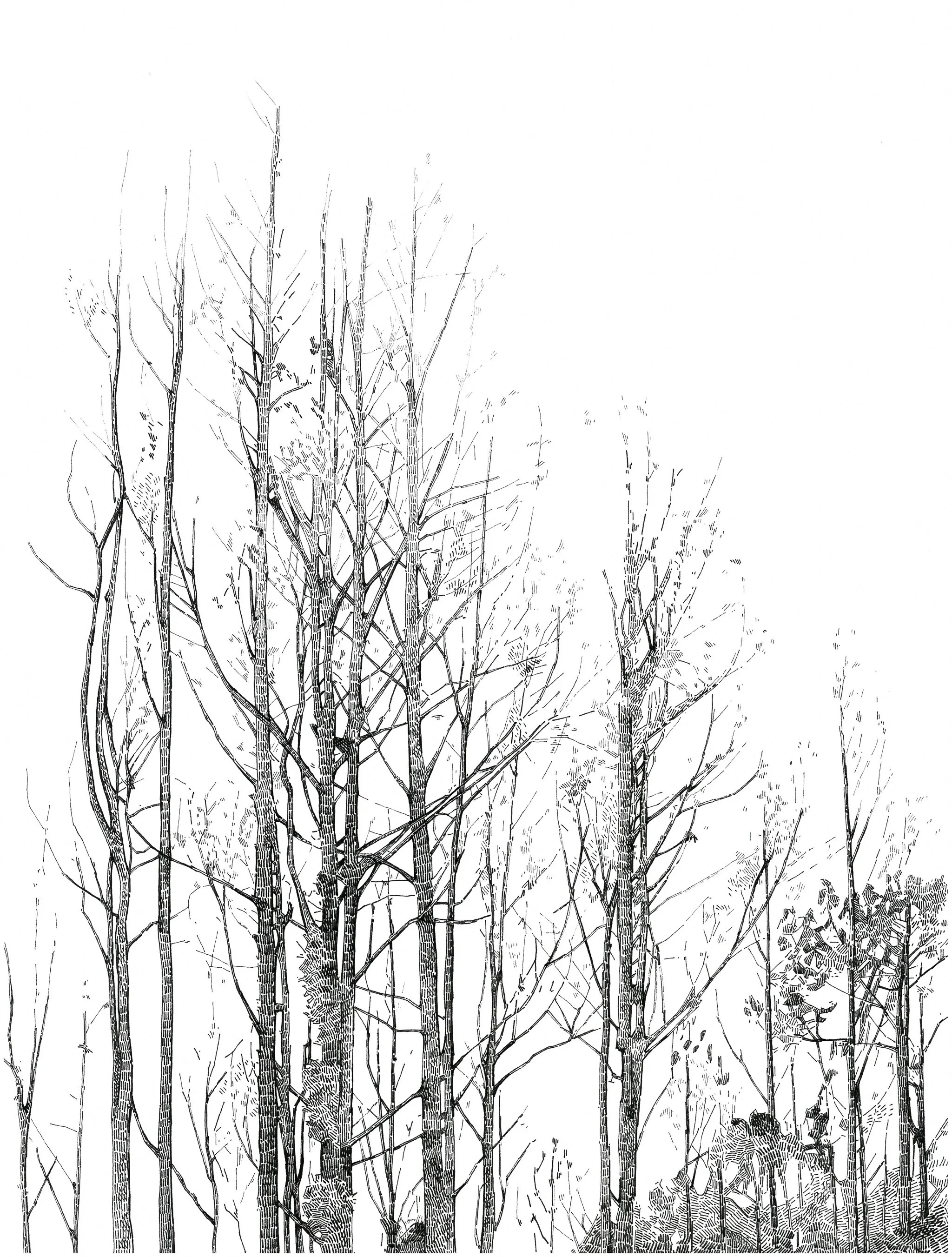 1/4 "Landscape constructed in 4 views"
Ink on paper, 29,7x21cm, 2018