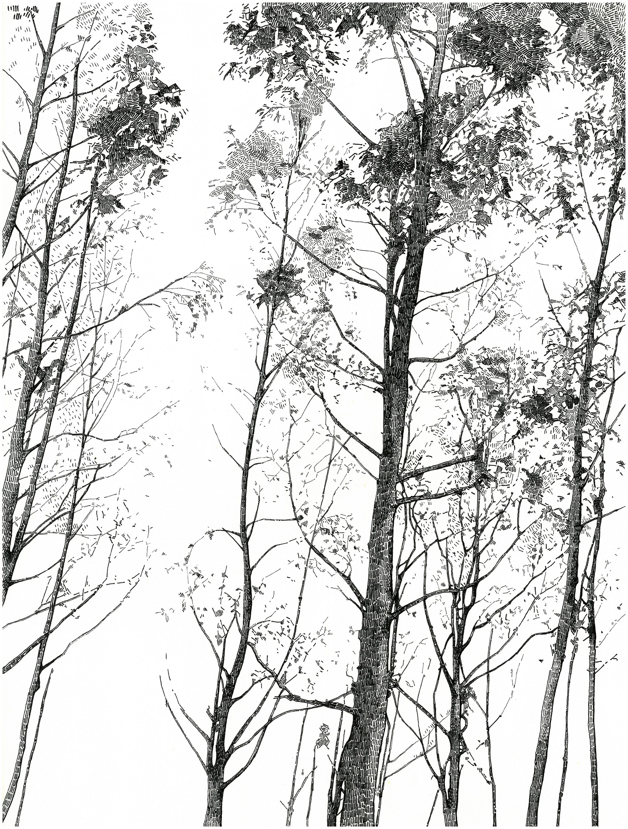 4/4 "Landscape constructed in 4 views"
Ink on paper, 29,7x21cm, 2018