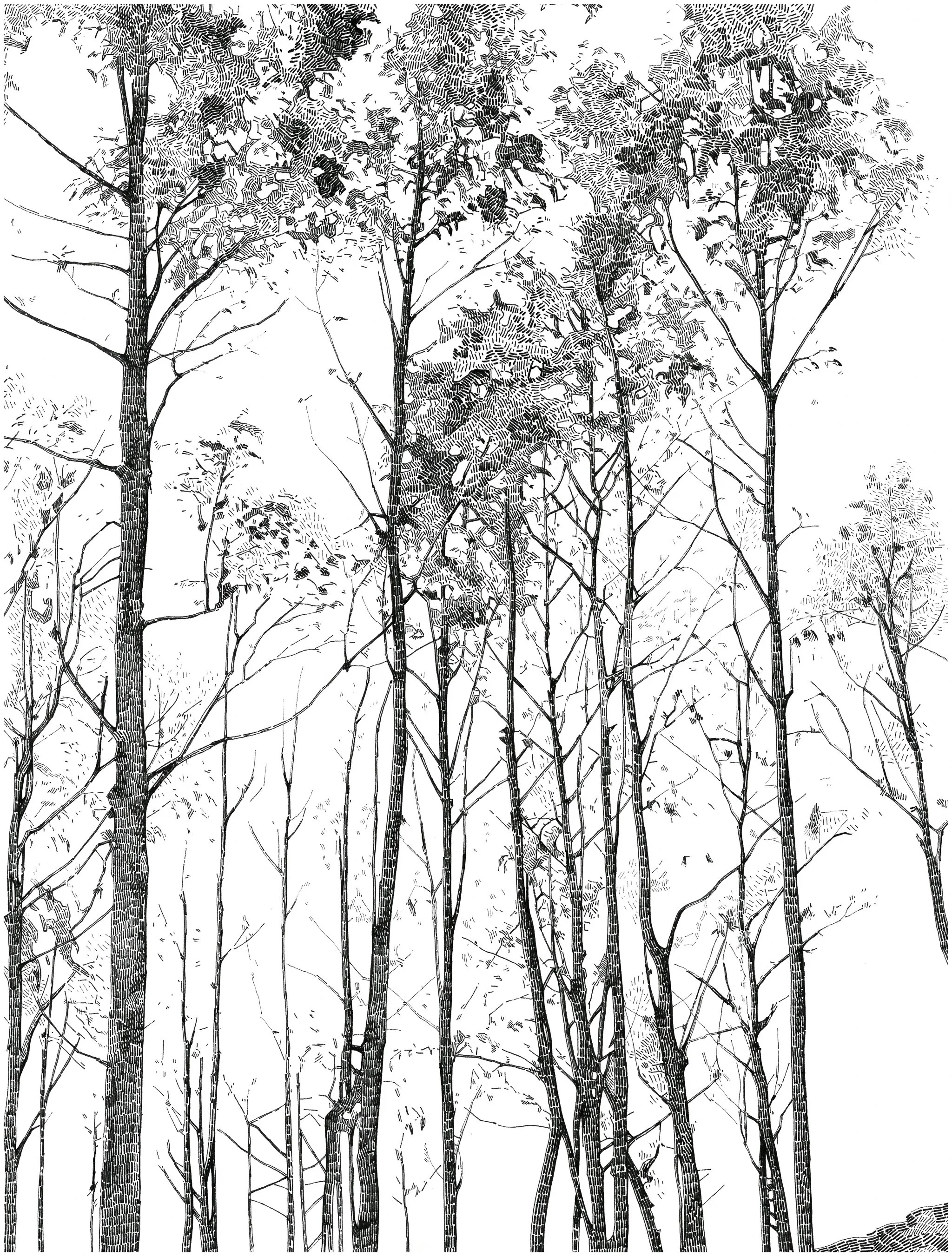 3/4 "Landscape constructed in 4 views"
Ink on paper, 29,7x21cm, 2018