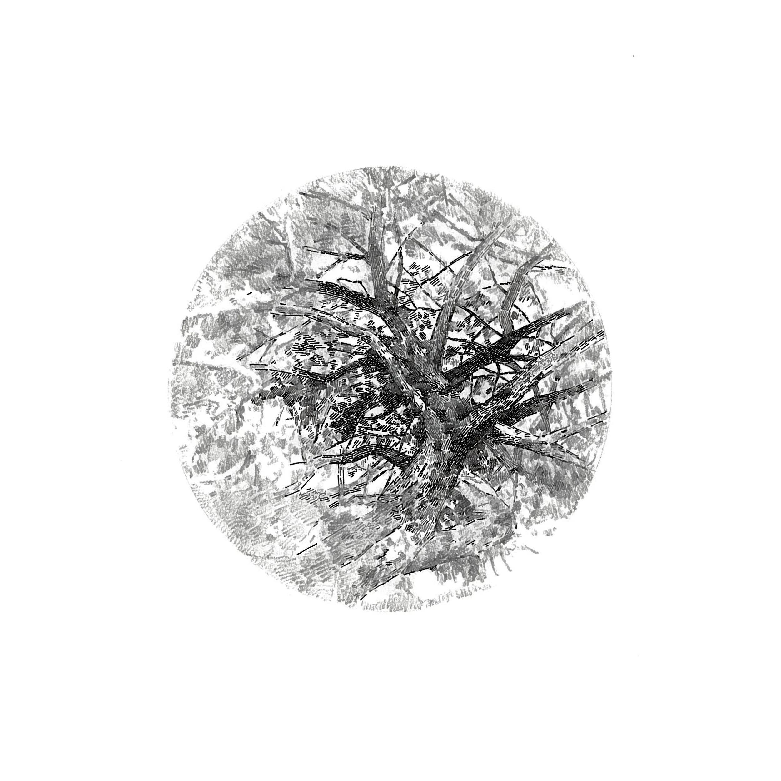 "Visual Focus" Graphite and ink on paper, 15x15cm, 2014