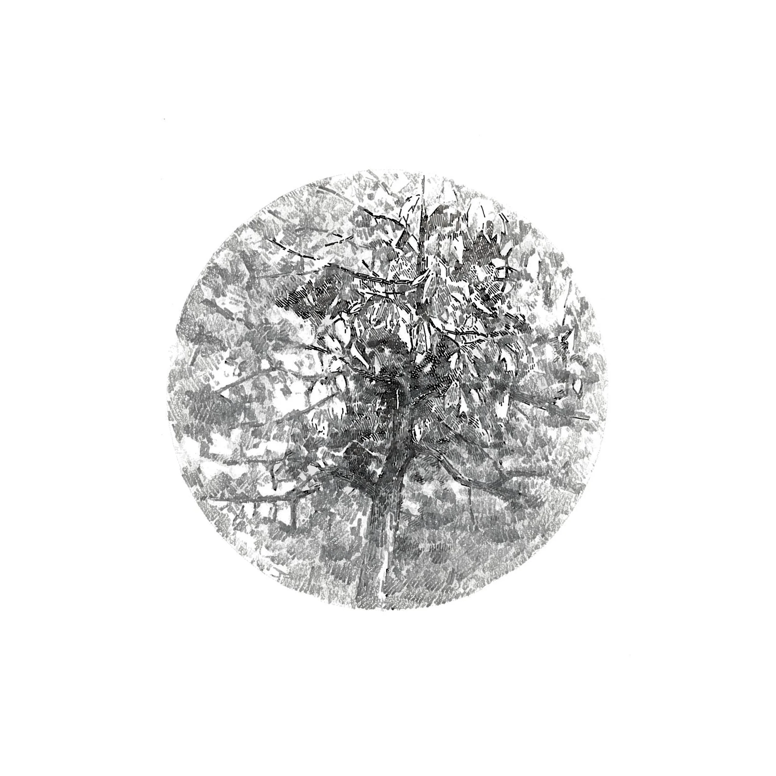 "Visual Focus" Graphite and ink on paper, 15x15cm, 2014