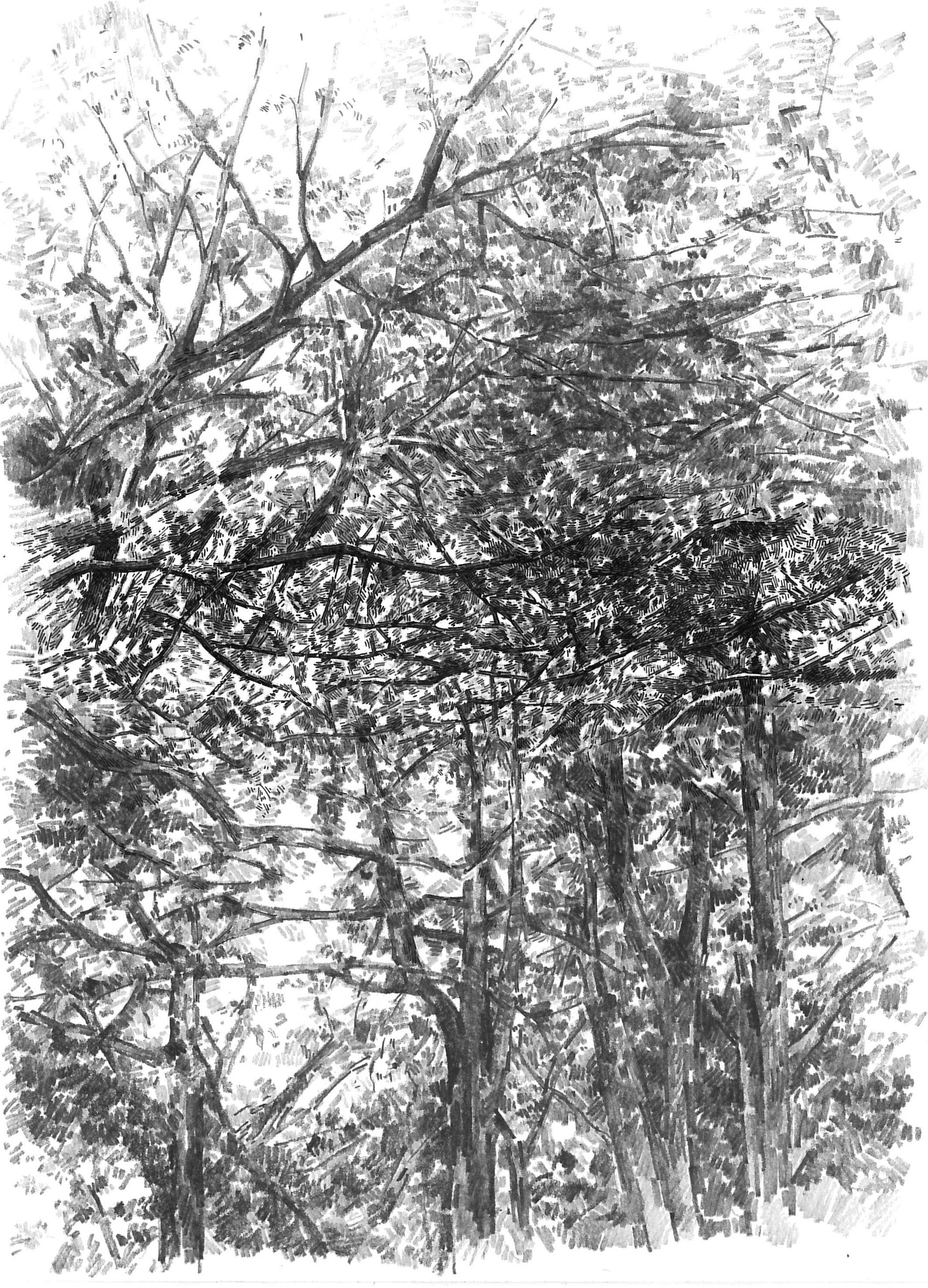 "Differences of perception" Graphite and ink on paper, 20x25cm, 2014