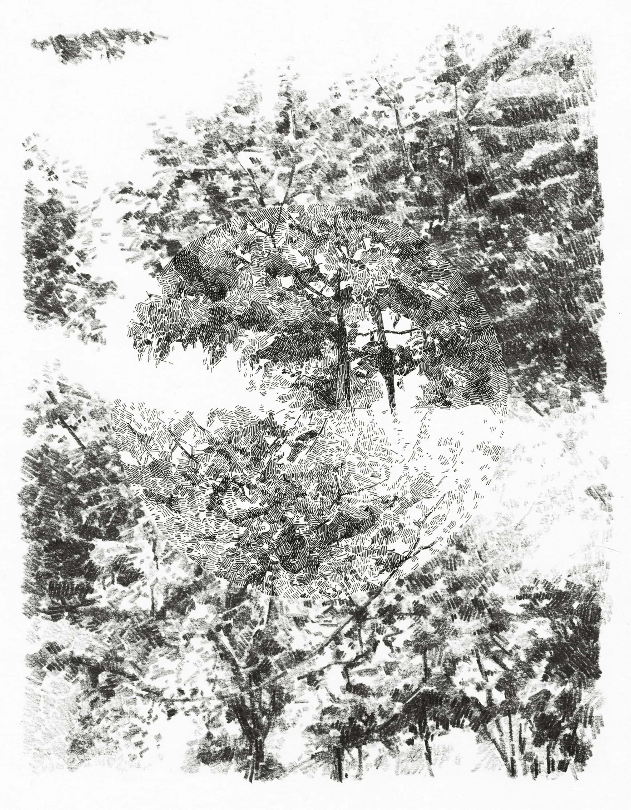 "Differences of perception" Graphite and ink on paper, 20x25cm, 2014