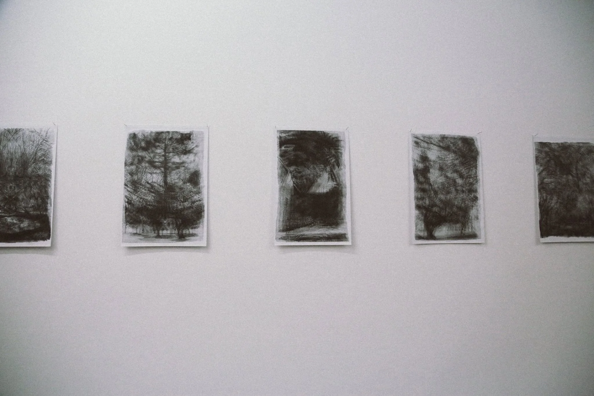 Exhibition Views