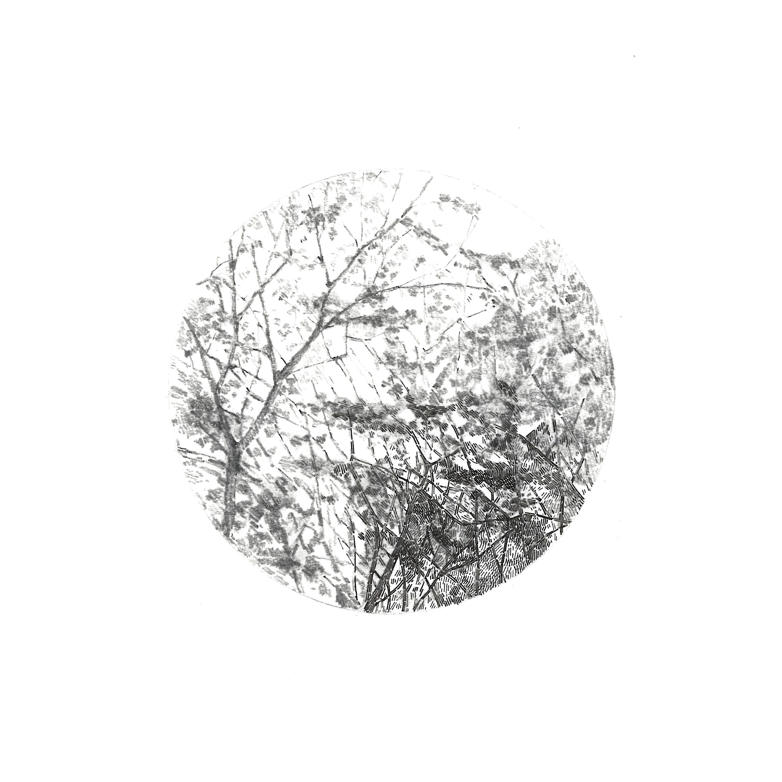 "Visual Focus" Graphite and ink on paper, 15x15cm, 2014