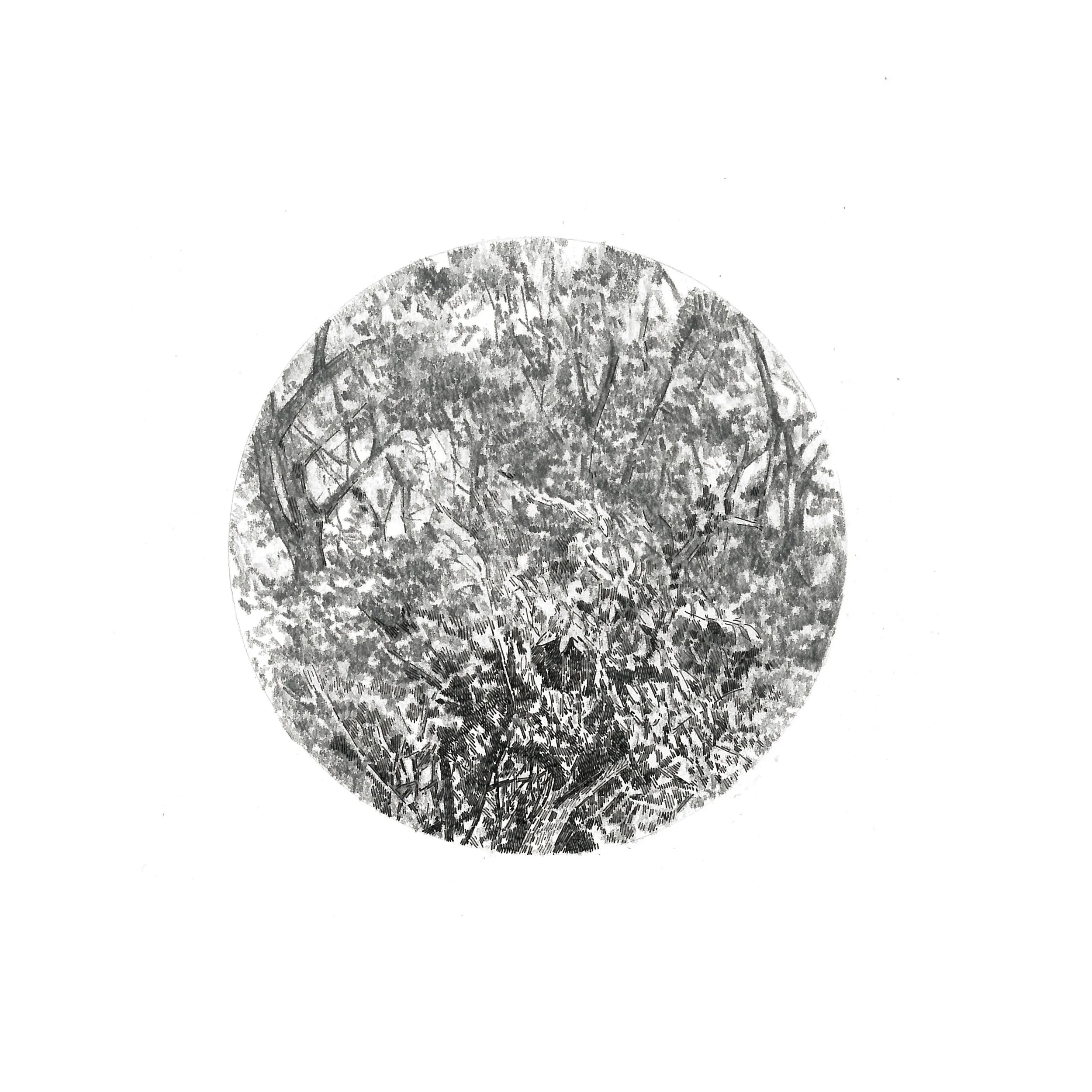 "Visual Focus" Graphite and ink on paper, 15x15cm, 2014