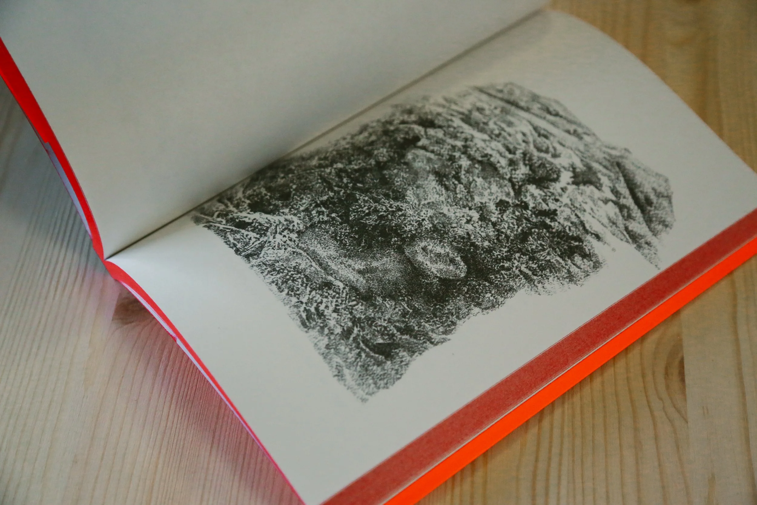 BOOKS-7.jpg