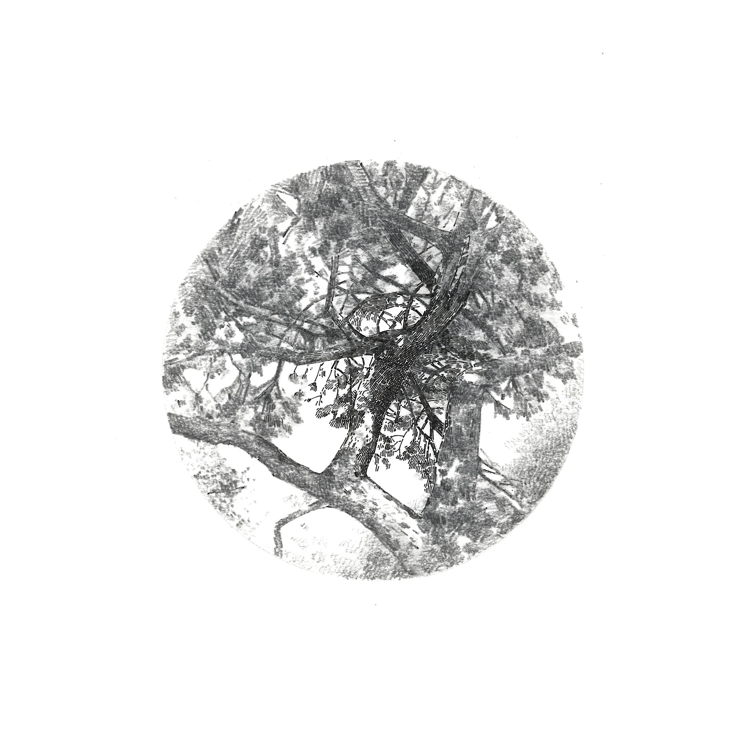 "Visual Focus" Graphite and ink on paper, 15x15cm, 2014