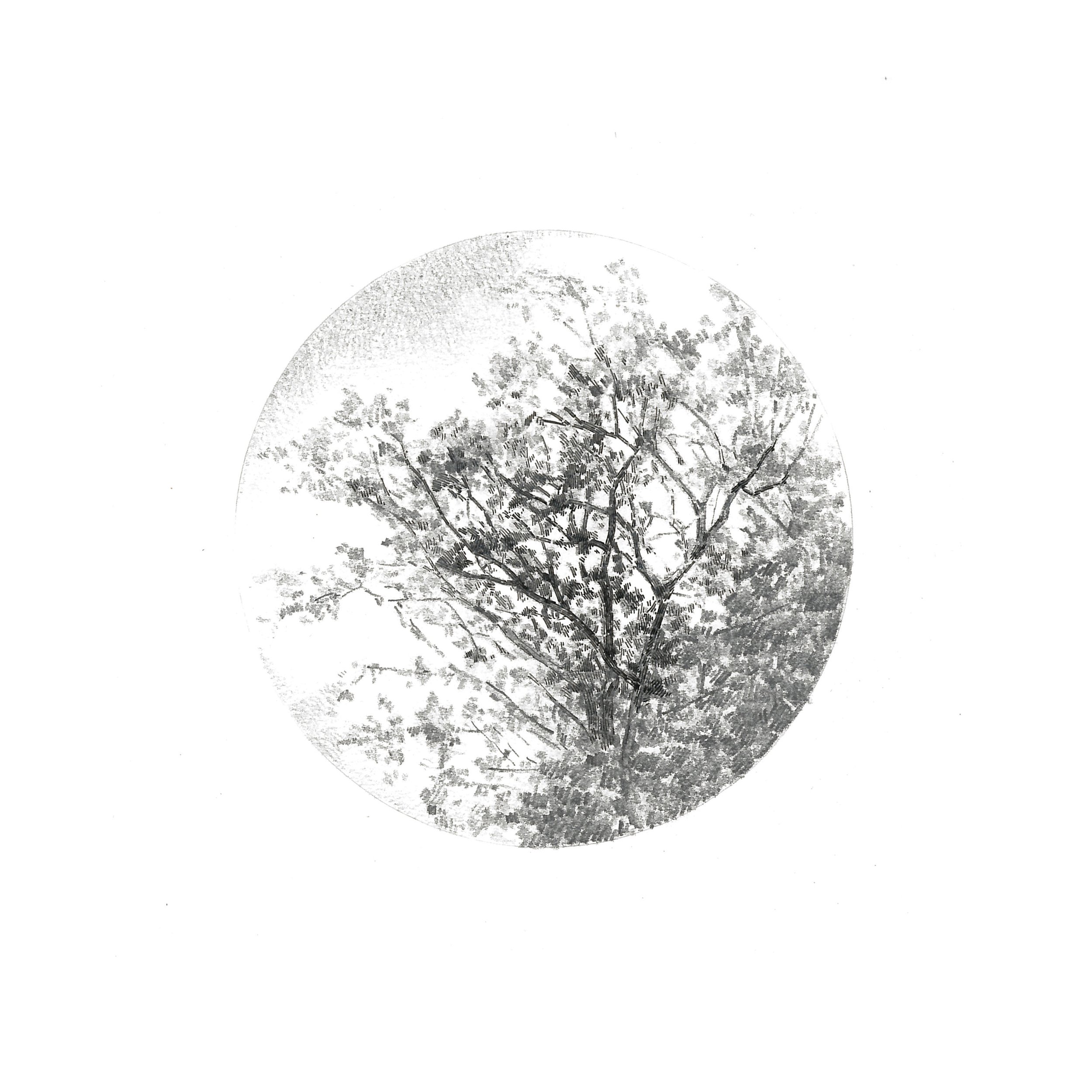 "Visual Focus" Graphite and ink on paper, 15x15cm, 2014