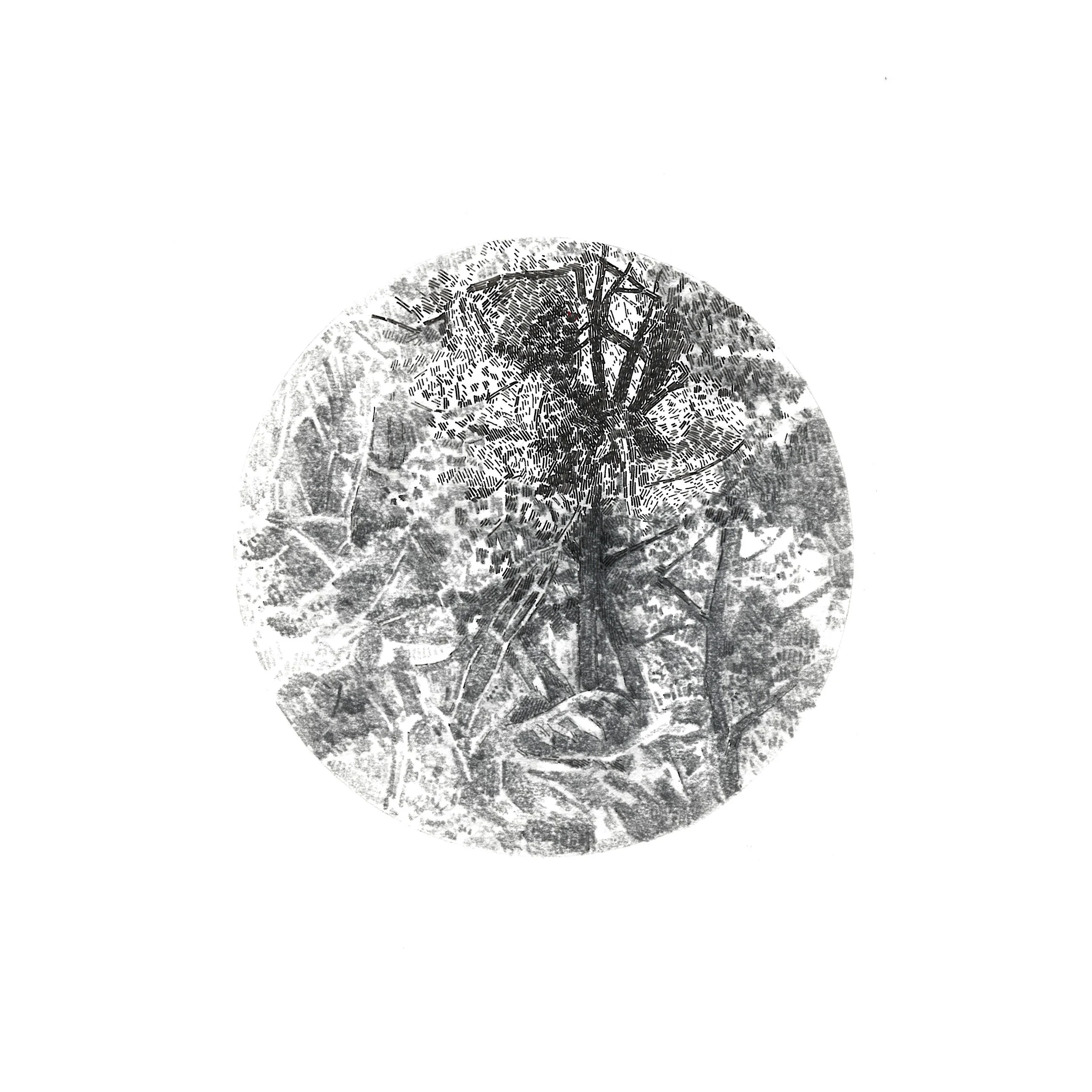 "Visual Focus" Graphite and ink on paper, 15x15cm, 2014