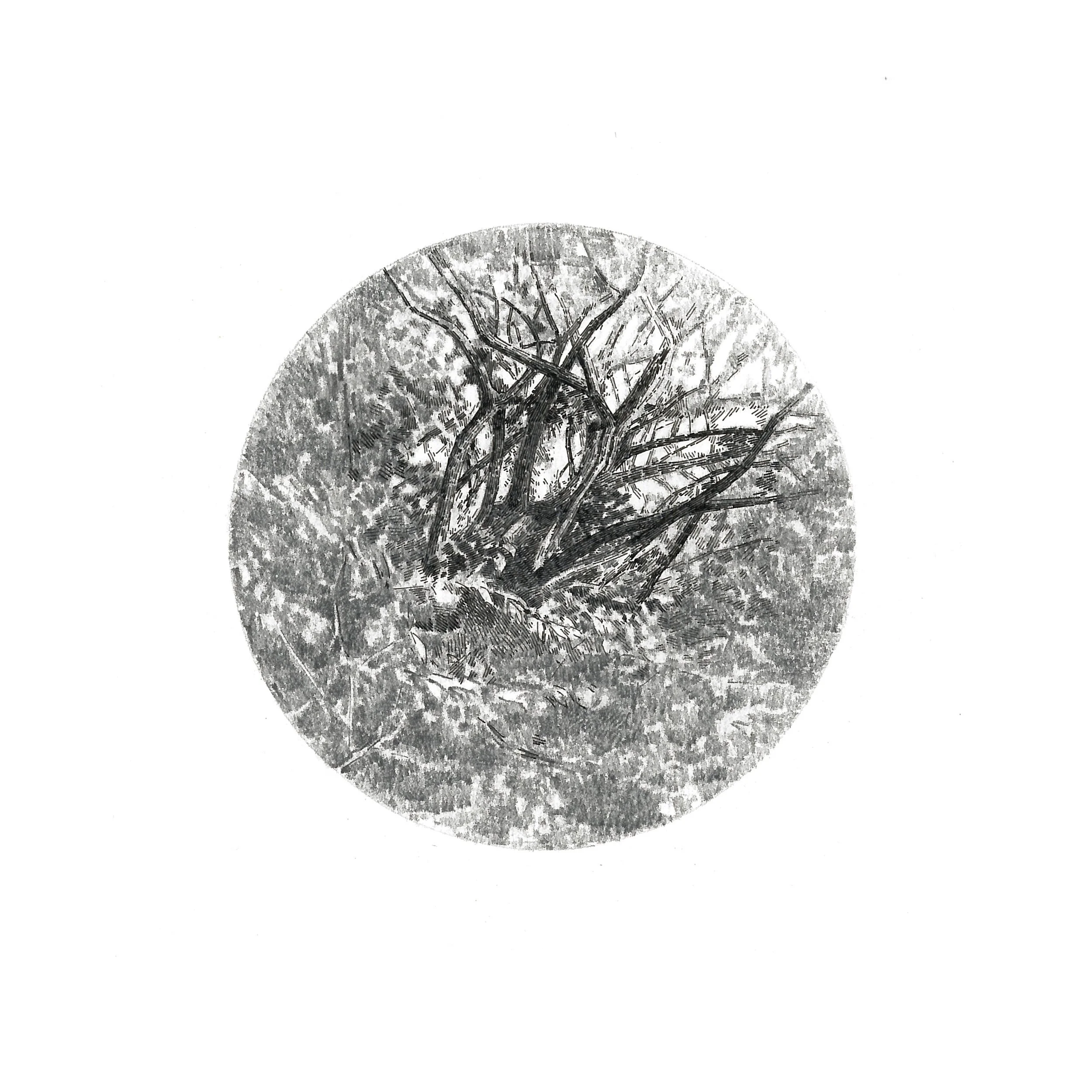 "Visual Focus" Graphite and ink on paper, 15x15cm, 2014