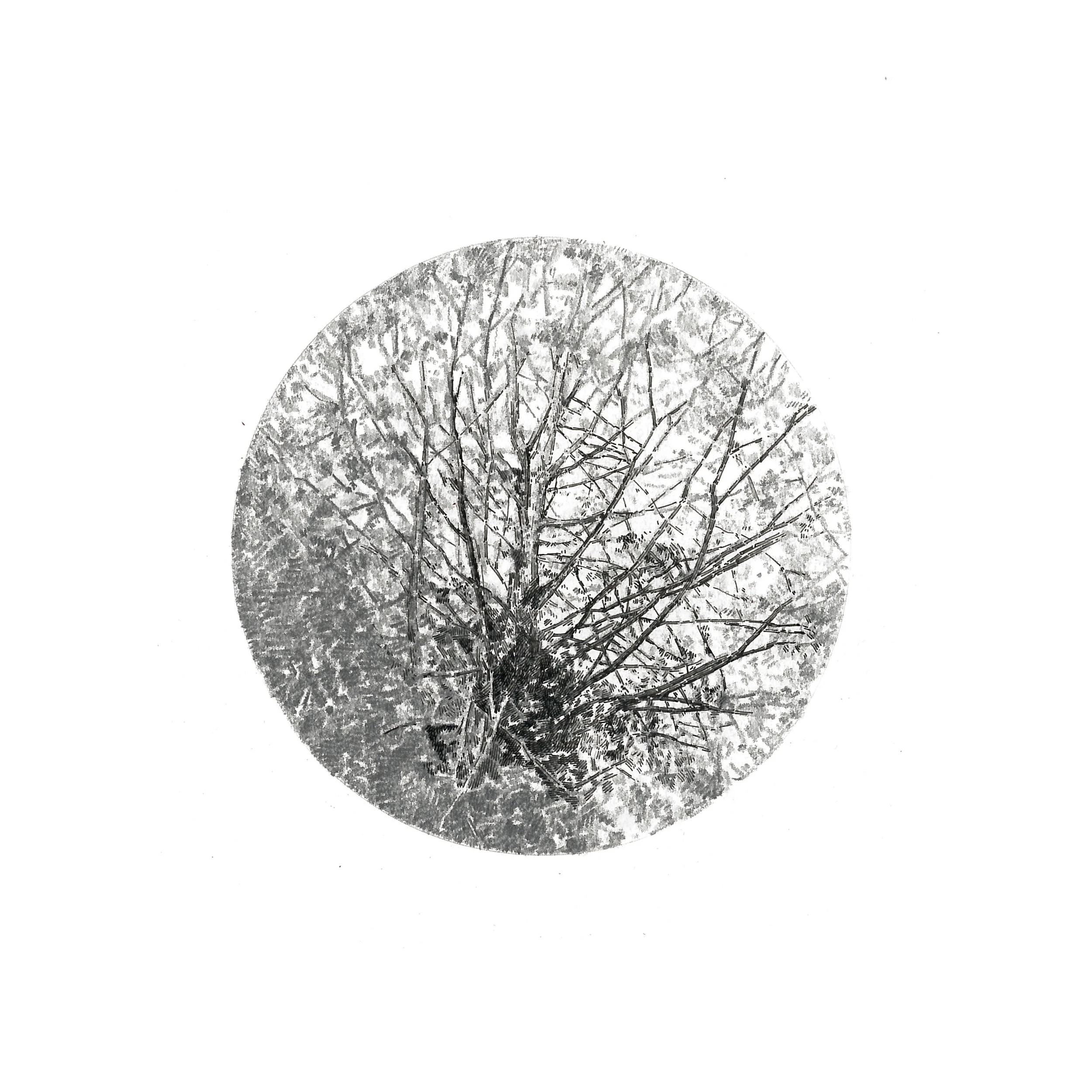 "Visual Focus" Graphite and ink on paper, 15x15cm, 2014