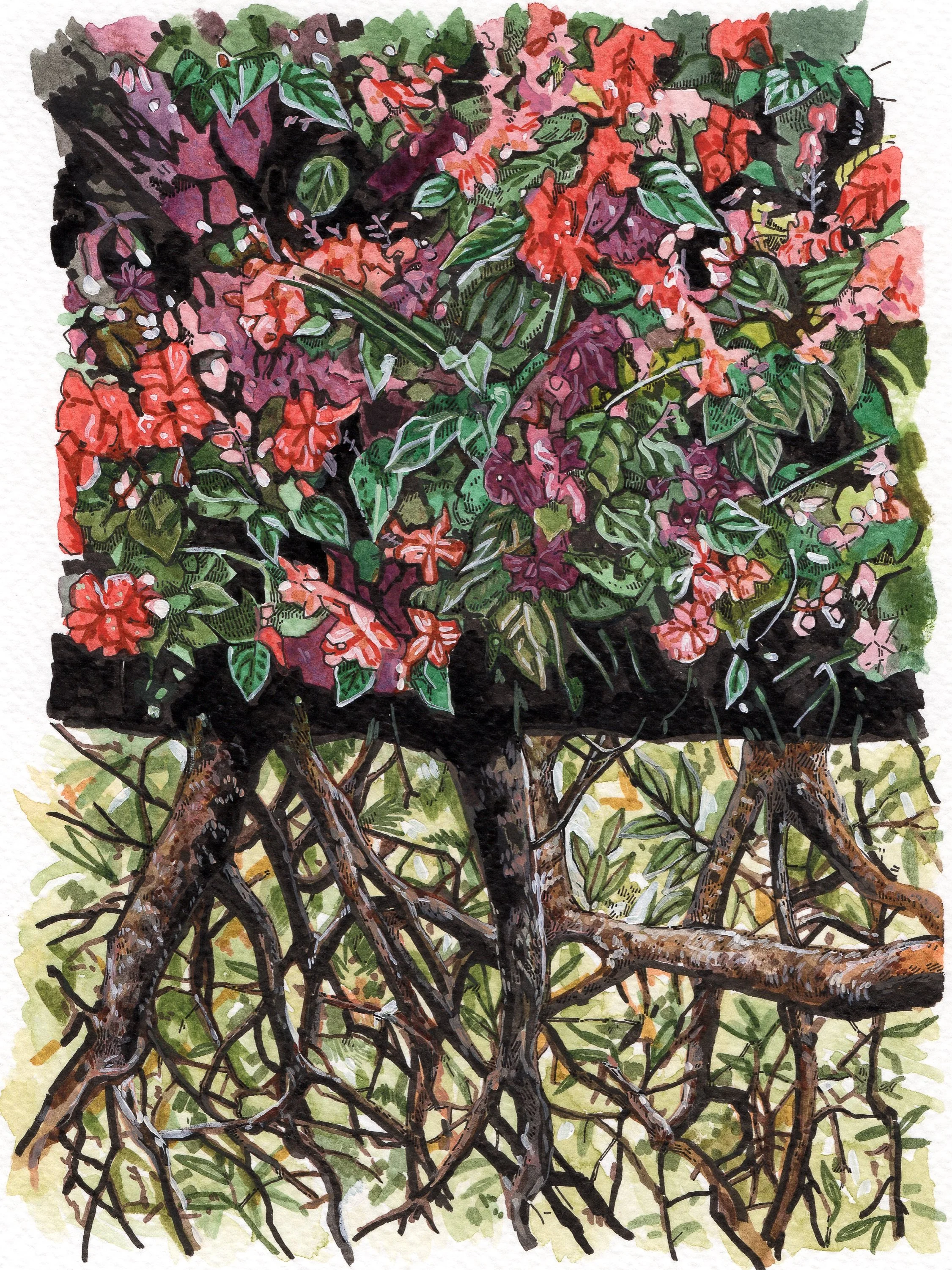 "Every flower has roots" Watercolor and ink on paper, 18x13cm, 2022