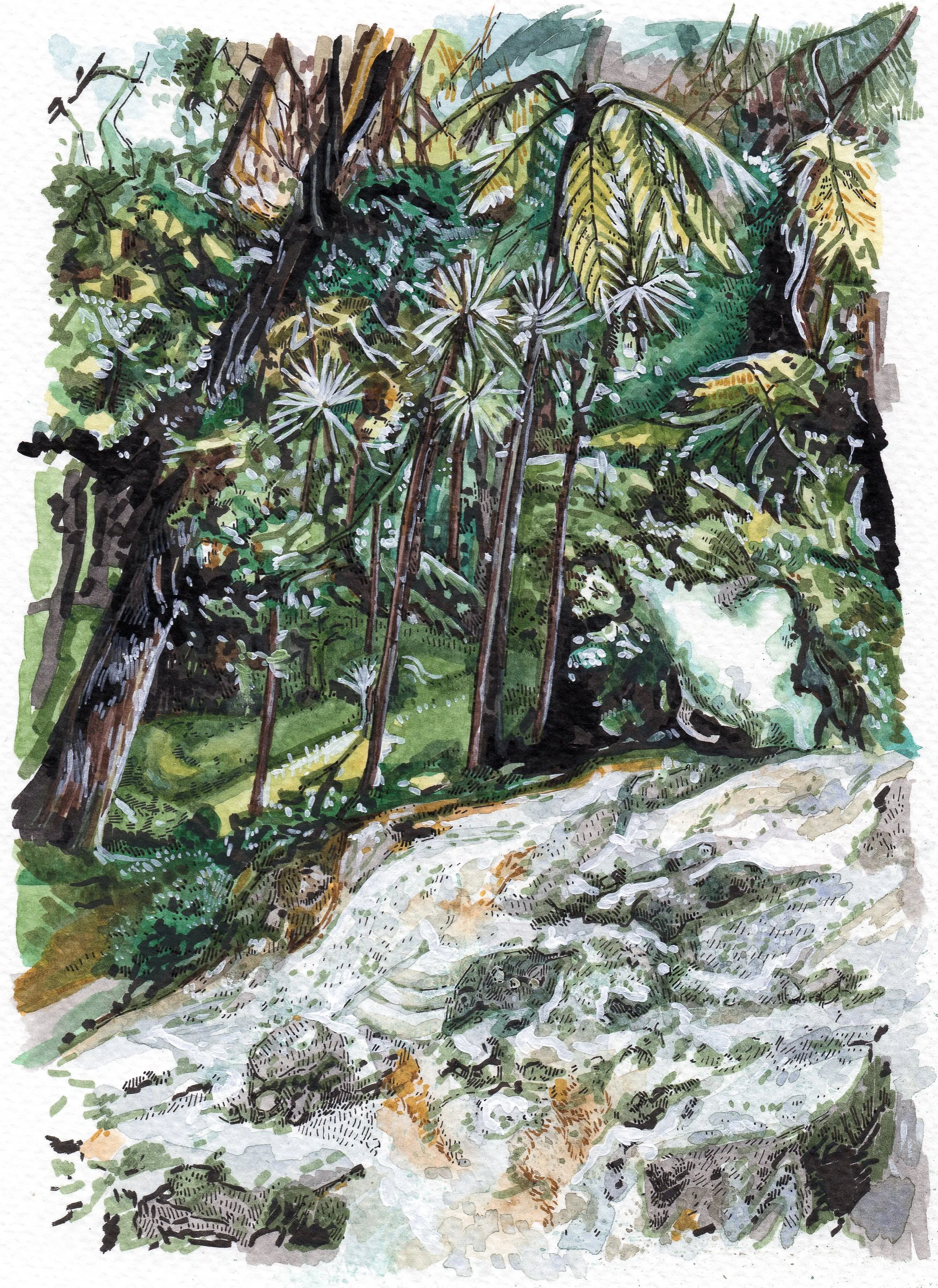 "It is possible to grow over stone" Watercolor and ink on paper, 18x13cm, 2022