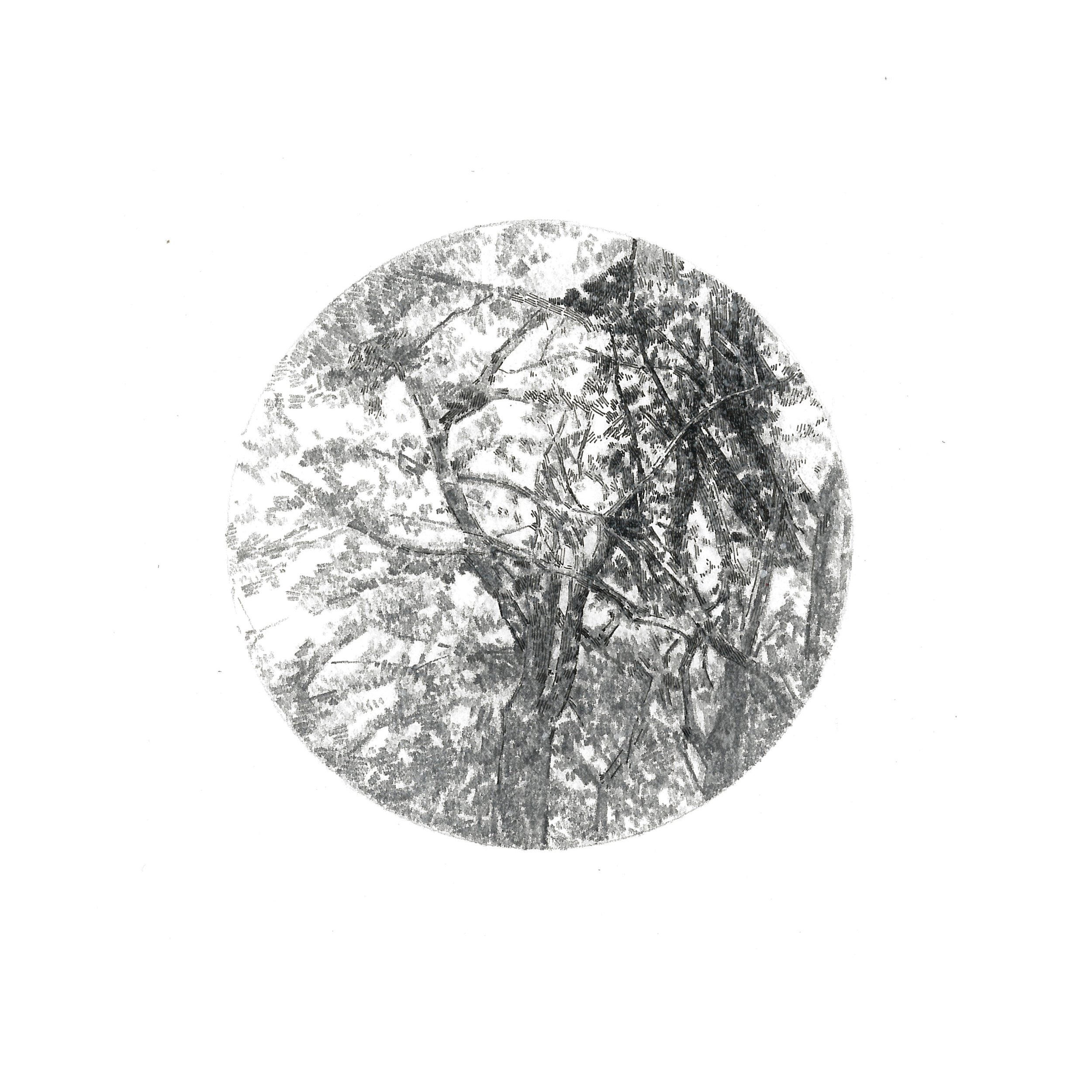 "Visual Focus" Graphite and ink on paper, 15x15cm, 2014