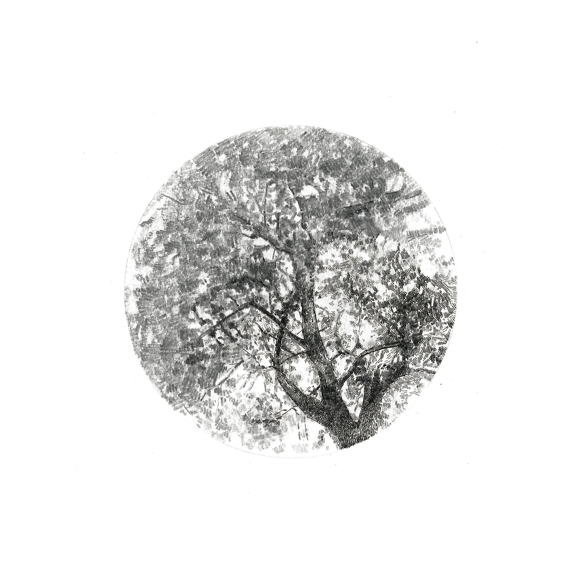 "Visual Focus" Graphite and ink on paper, 15x15cm, 2014