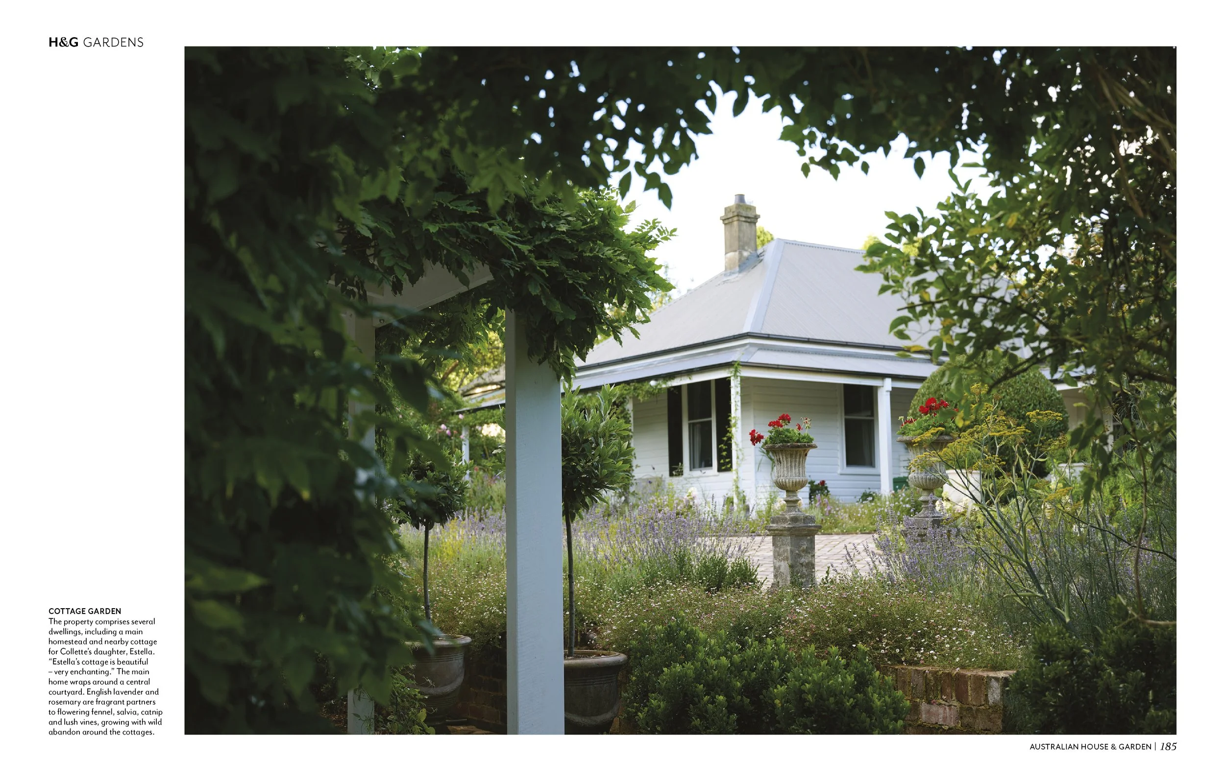 HG2508p184_GARDEN COLLETTE DINNIGAN_v1.0.jpg