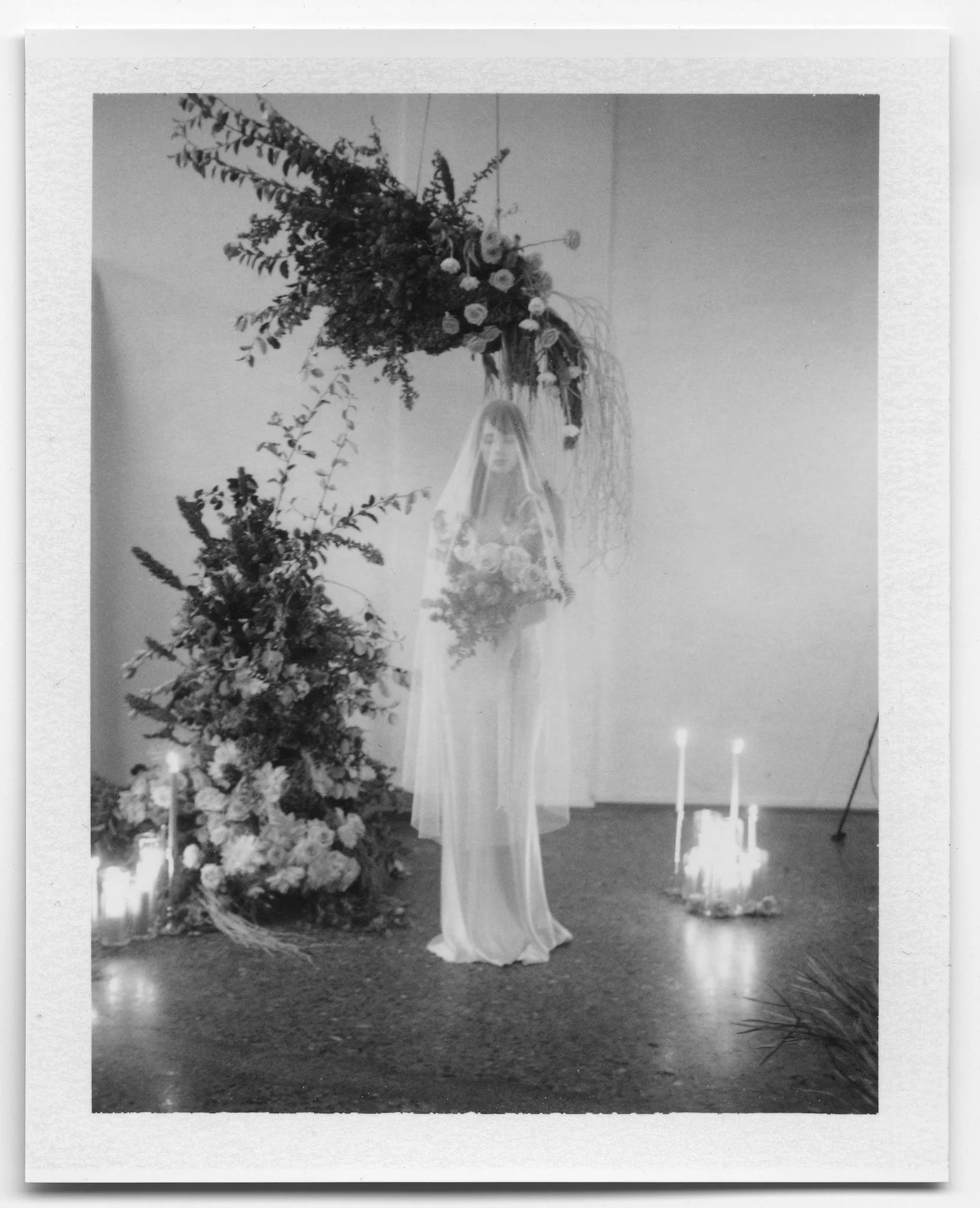 bloom-polaroids-007.jpg
