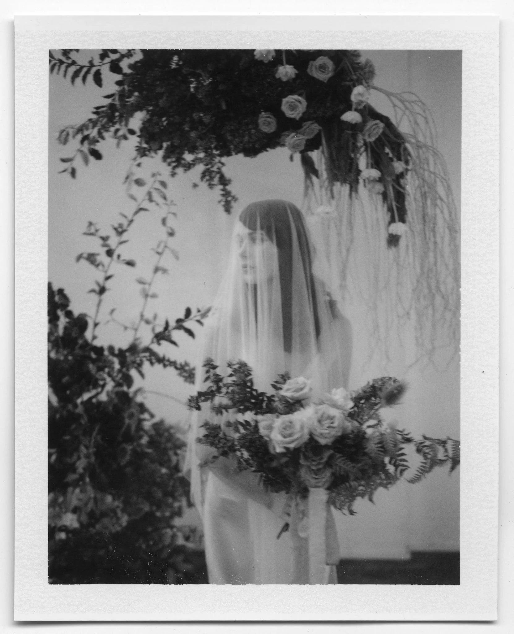 bloom-polaroids-005.jpg