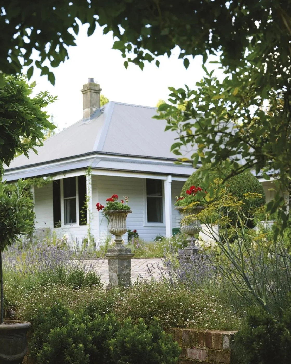 In the garden with Collette Dinnigan (editorial feature)