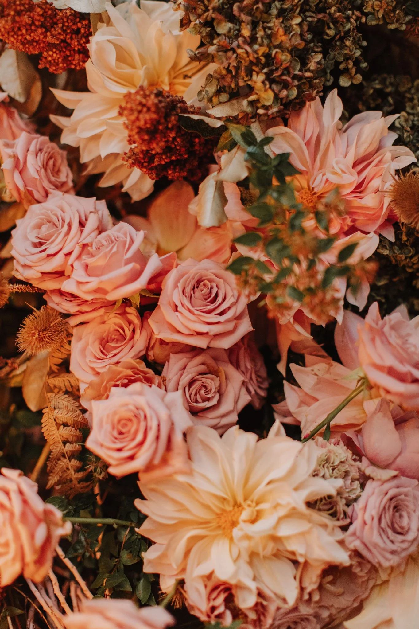 blooms-details-034.jpeg