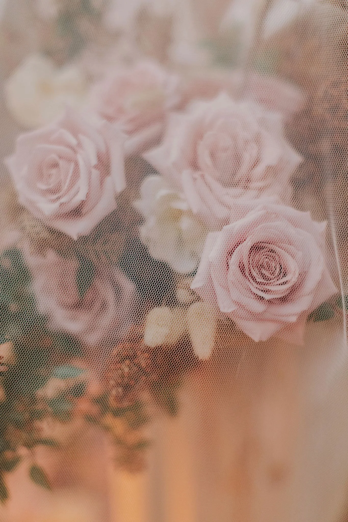 blooms-details-012.jpg