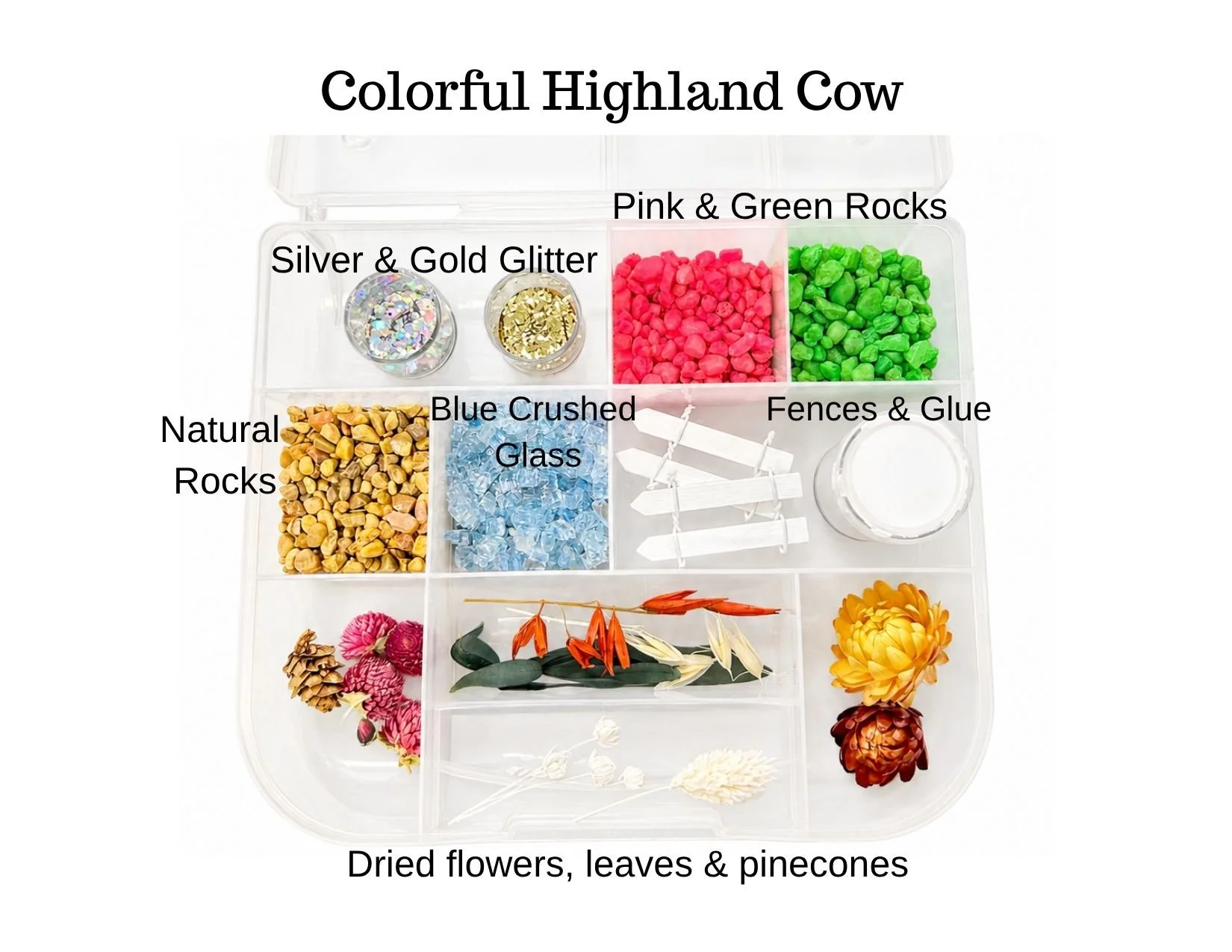Colorful cow supplies1.jpg