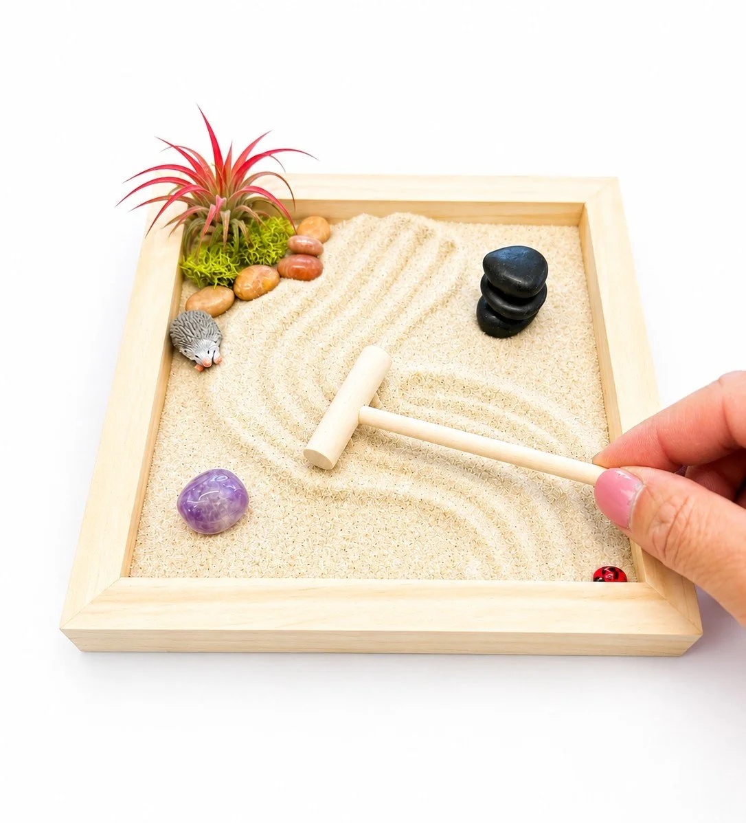 zen11.jpg