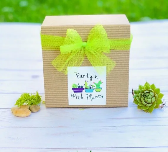brown box.jpg (Copy)